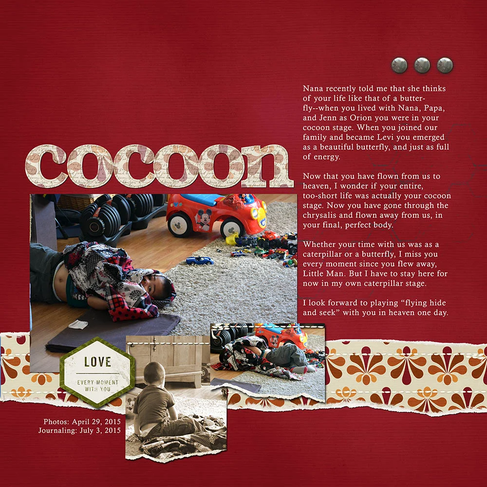 Cocoon web.jpg
