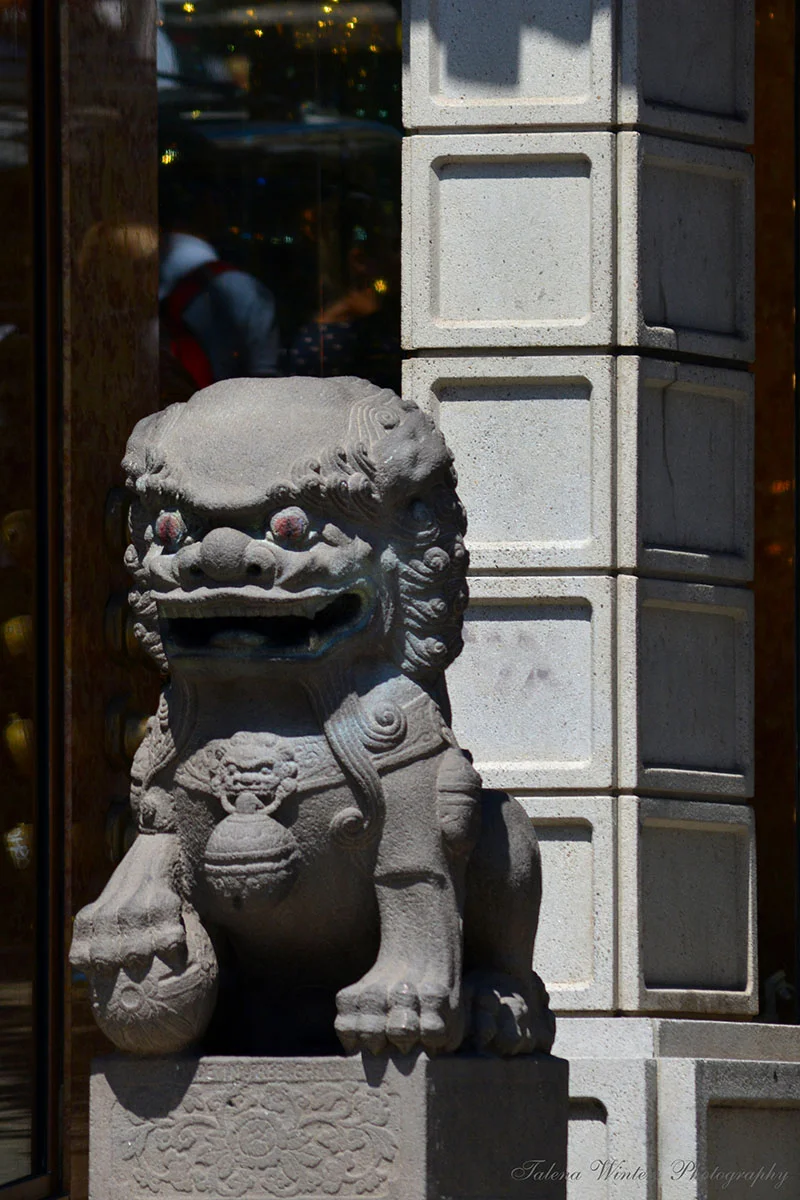 Guarding the Dragon Gate