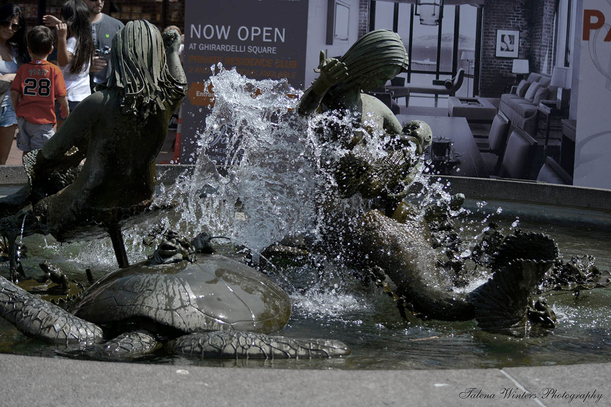 Andrea's fountain