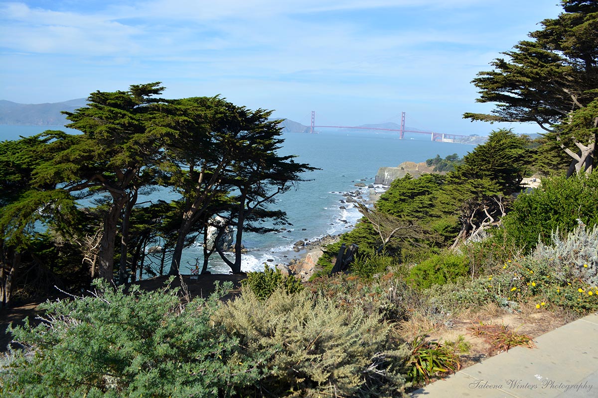 Golden Gate Bridge from the North-West