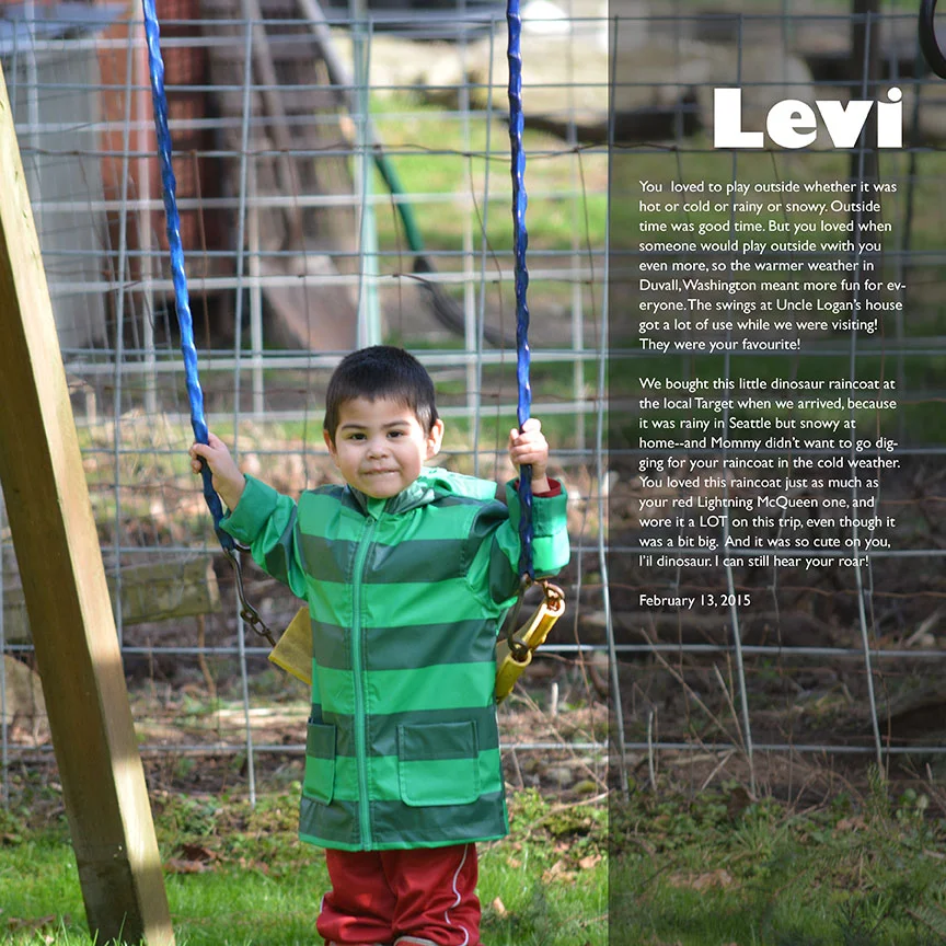 Levi on the Swing web.jpg