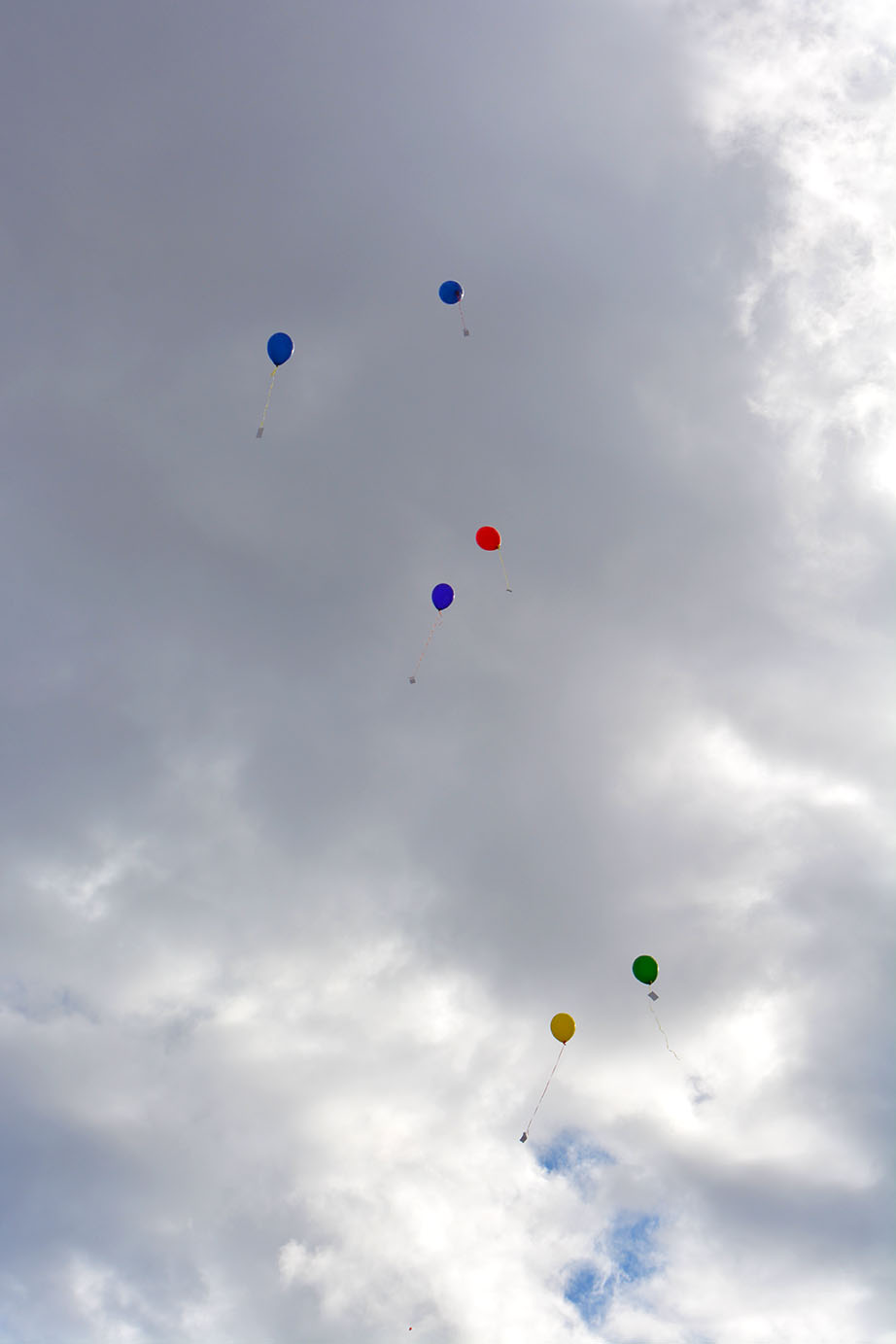Balloons for Levi.