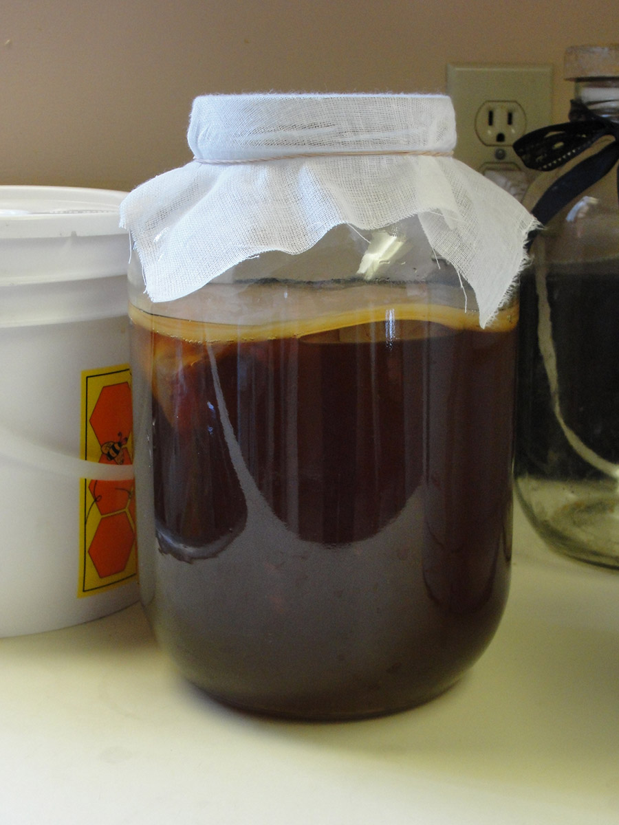 Kombucha, you look funny. :-)