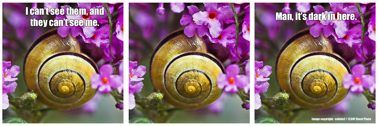 Image copyright: colette2 / 123RF Stock Photo