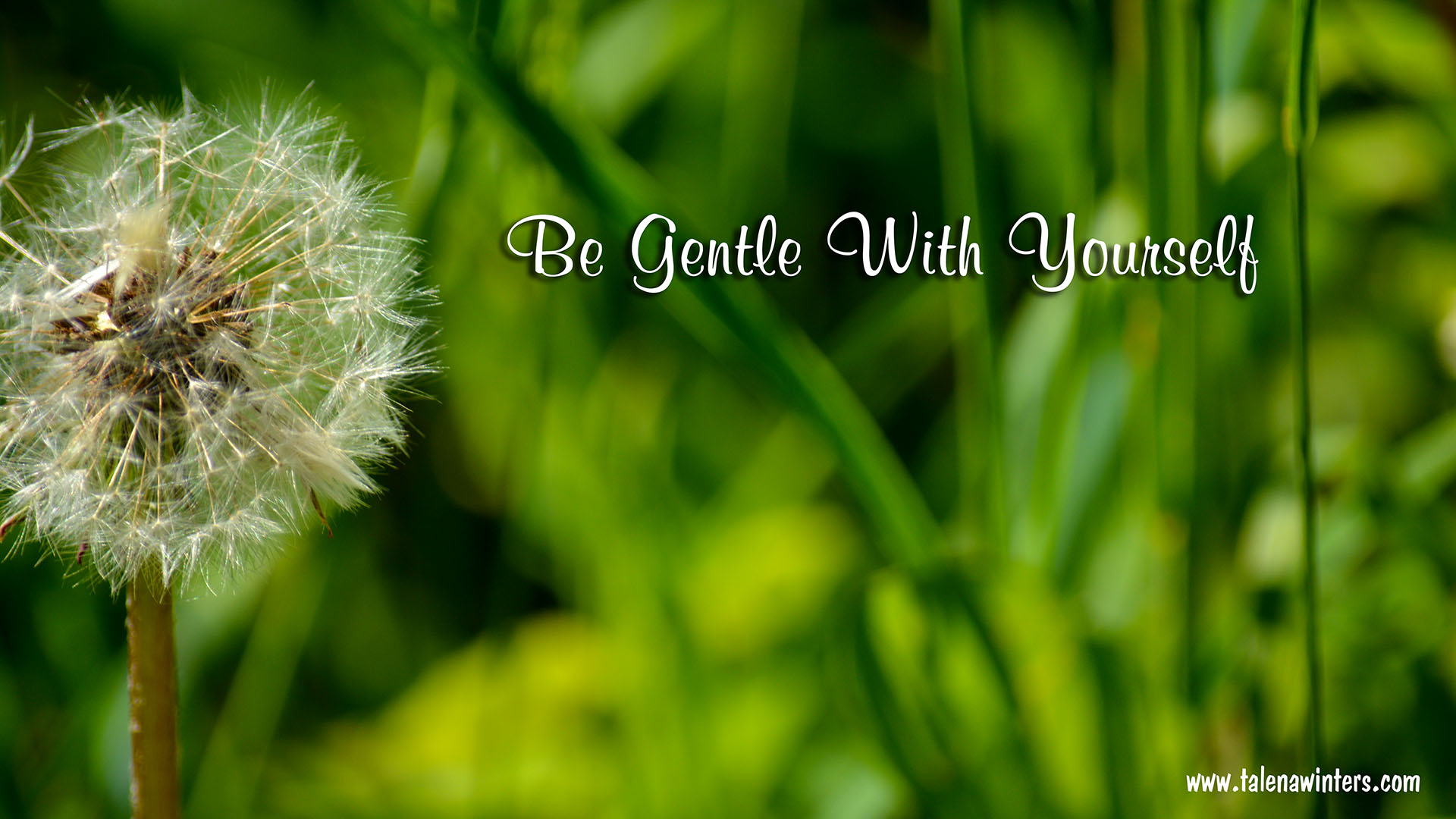 "Be Gentle With Yourself" desktop wallpaper, 1920x1080 resolution. Find more free inspirational desktop wallpapers at www.talenawinters.com/desktop-wallpapers .