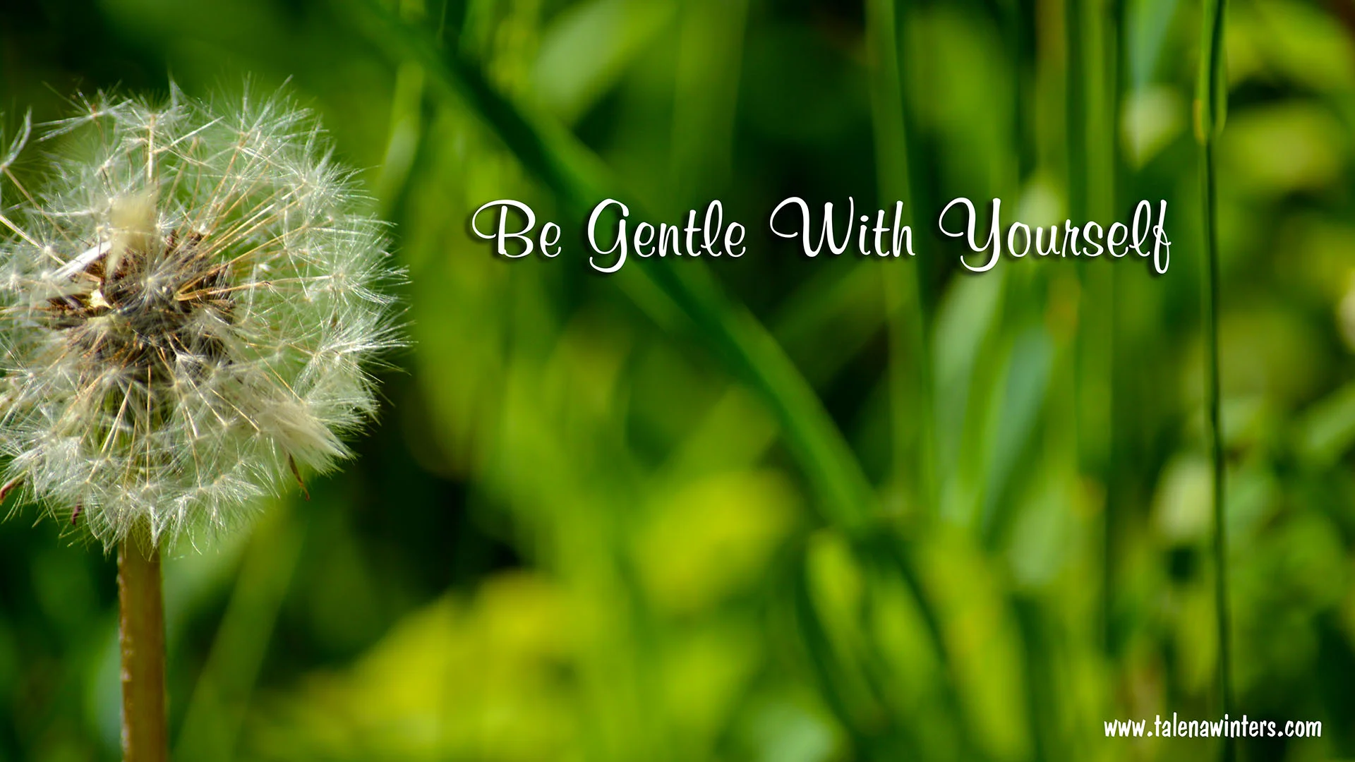 "Be Gentle With Yourself" Wallpaper, 1920x1080 Resolution