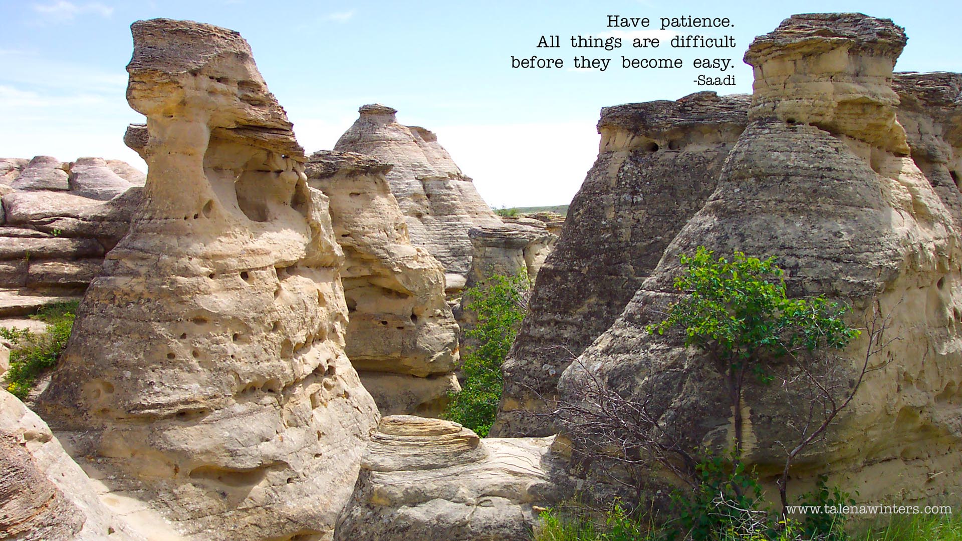 "Have patience" desktop wallpaper, 1920x1080 resolution. Get more free inspirational desktop wallpapers at www.talenawinters.com/desktop-wallpapers .