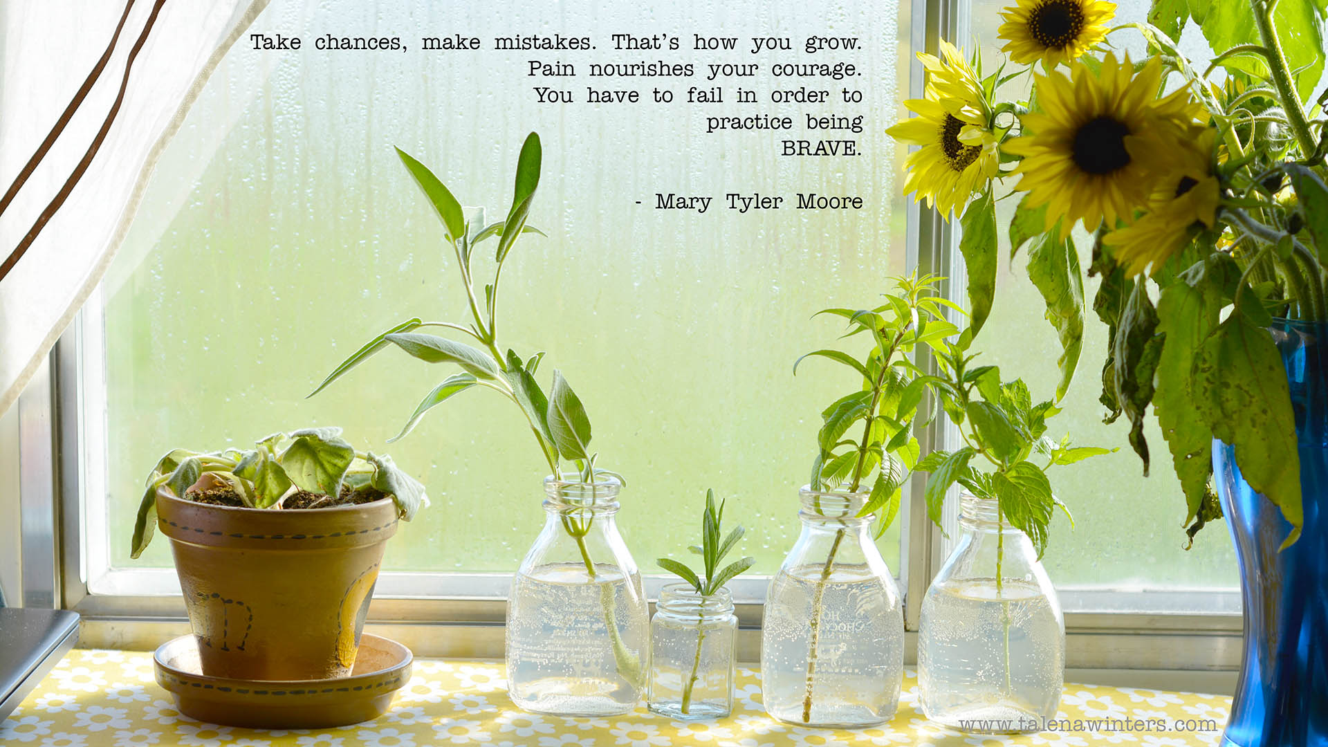 "Take chances, make mistakes. That's how you grow. Pain nourishes your courage. You have to fail in order to practice being brave." - Mary Tyler Moore. Desktop wallpaper, 1920x1080 resolution. Find more free inspirational desktop wallpapers at www.talenawinters.com/desktop-wallpapers .