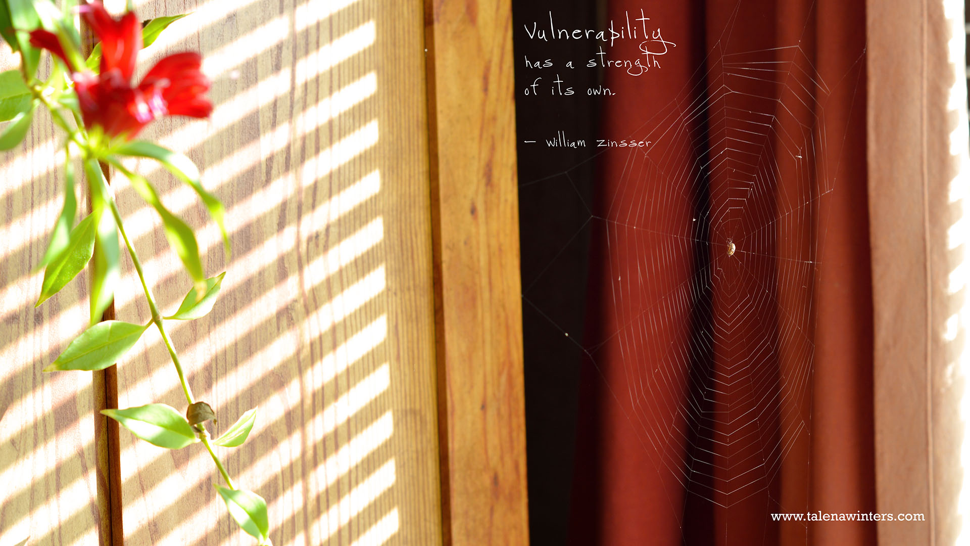 "Vulnerability has strength" desktop wallpaper, 1920x1080 resolution. Find more free inspirational desktop wallpapers at www.talenawinters.com/desktop-wallpapers .