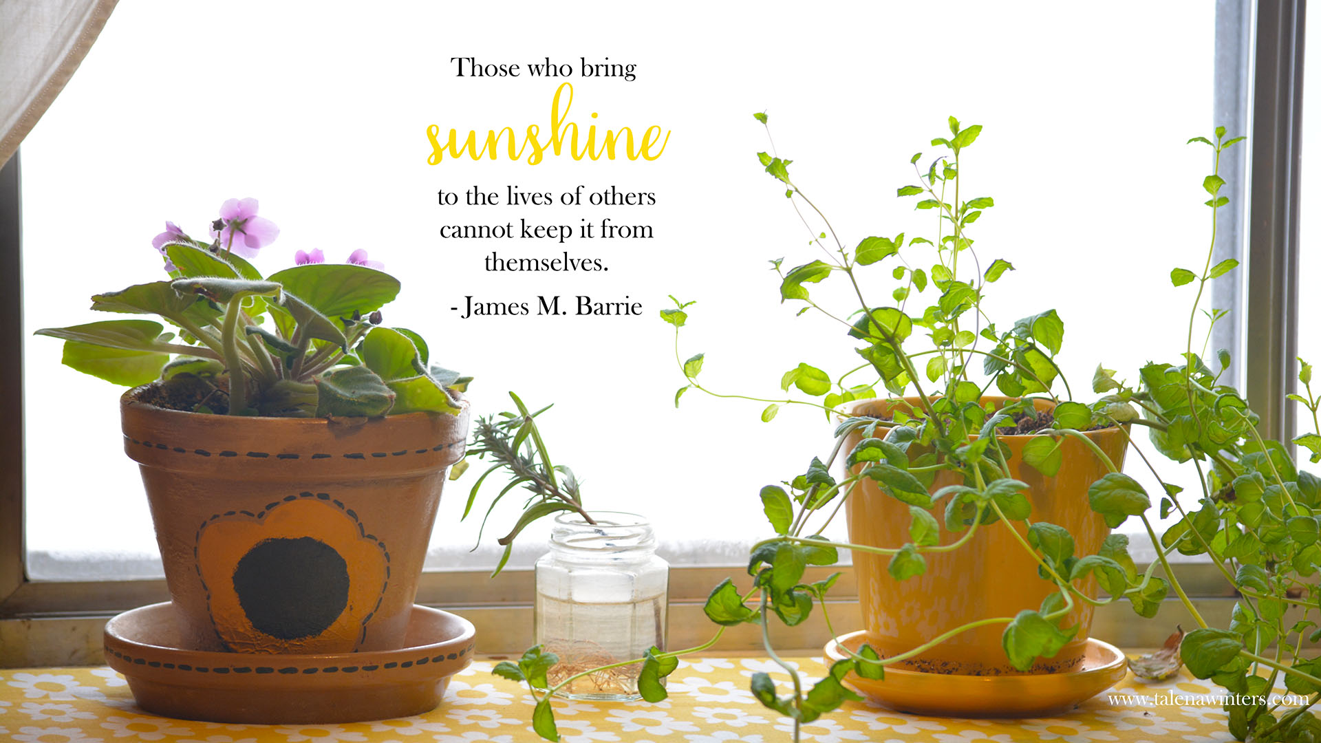 "Those who bring sunshine" desktop wallpaper, 1920x1080 resolution. Get more free inspirational desktop wallpapers at www.talenawinters.com/desktop-wallpapers.