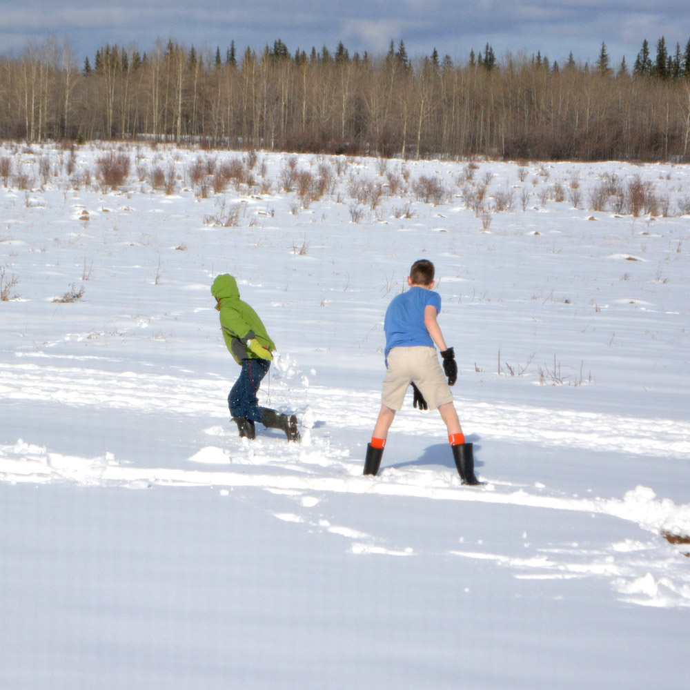 Snowball fights in Alberta. I bet Noah was glad he was dressed more warmly than his older brother with the much better throwing arm...