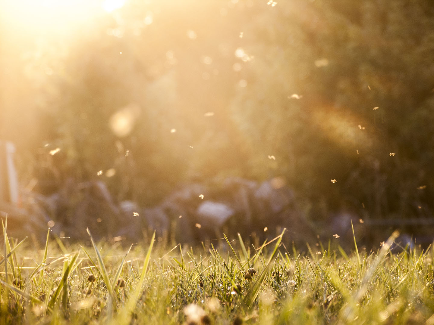 Image courtesy of Lightstock.com .