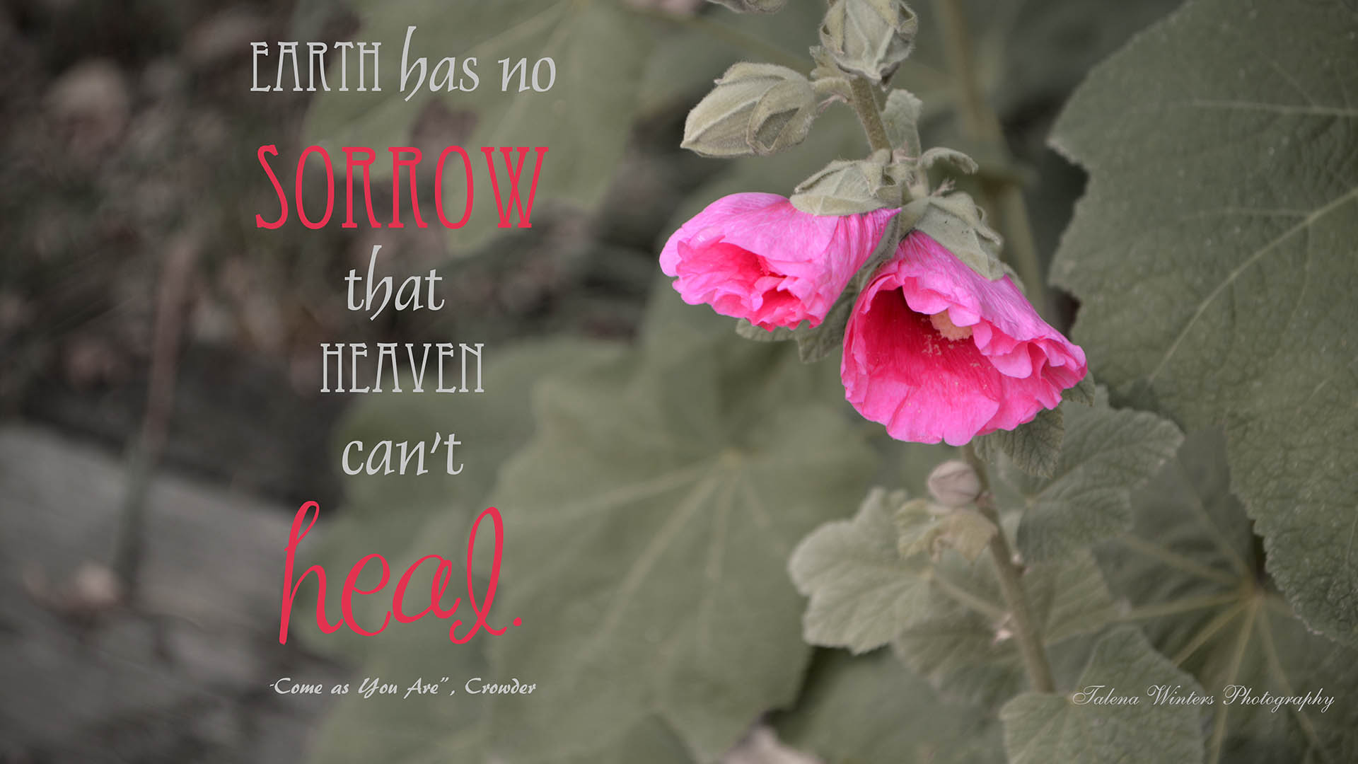"Earth has no sorrow that Heaven can't heal." From "Come as You Are" by Crowder. Get more free inspirational desktop wallpapers here .