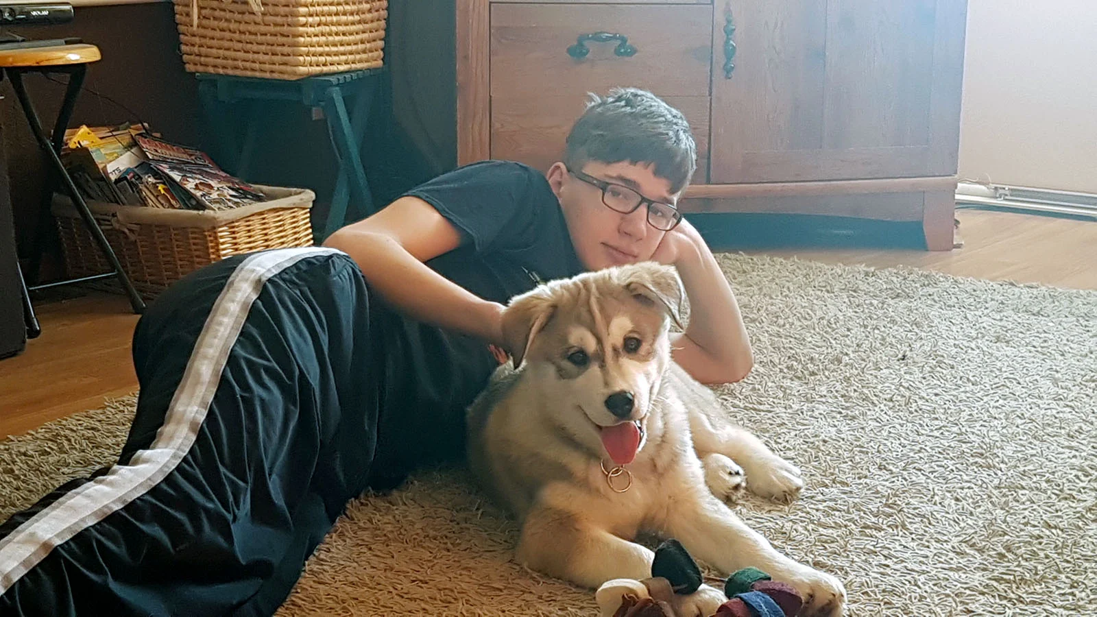 Puppies and Heroes