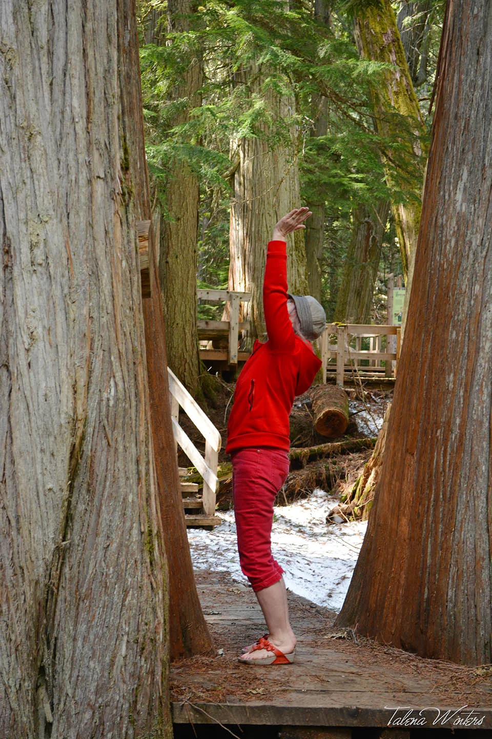 Aunty Joy marvelling at the trees.