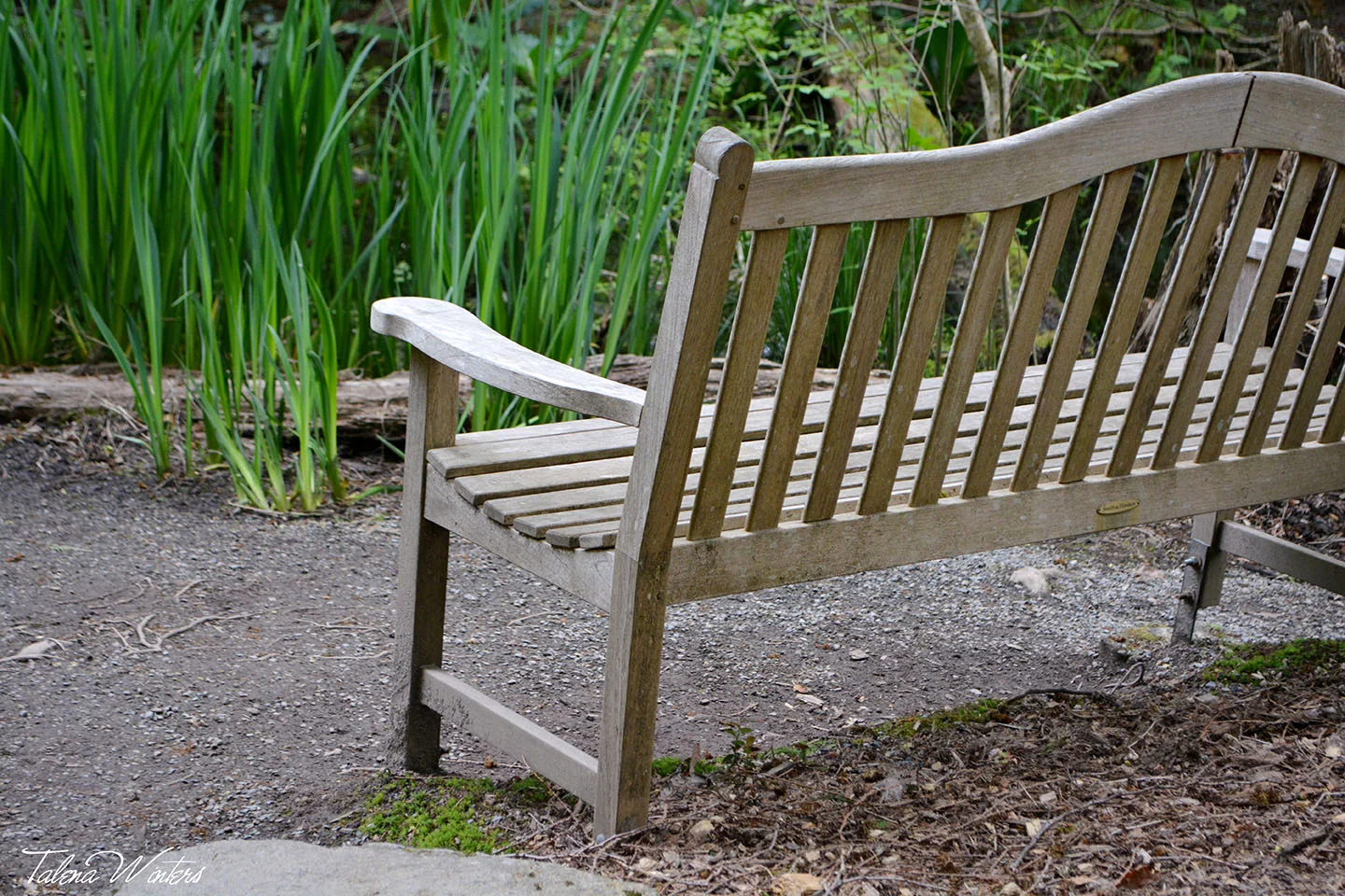 At the Bellevue Botanical Garden, Washington.
