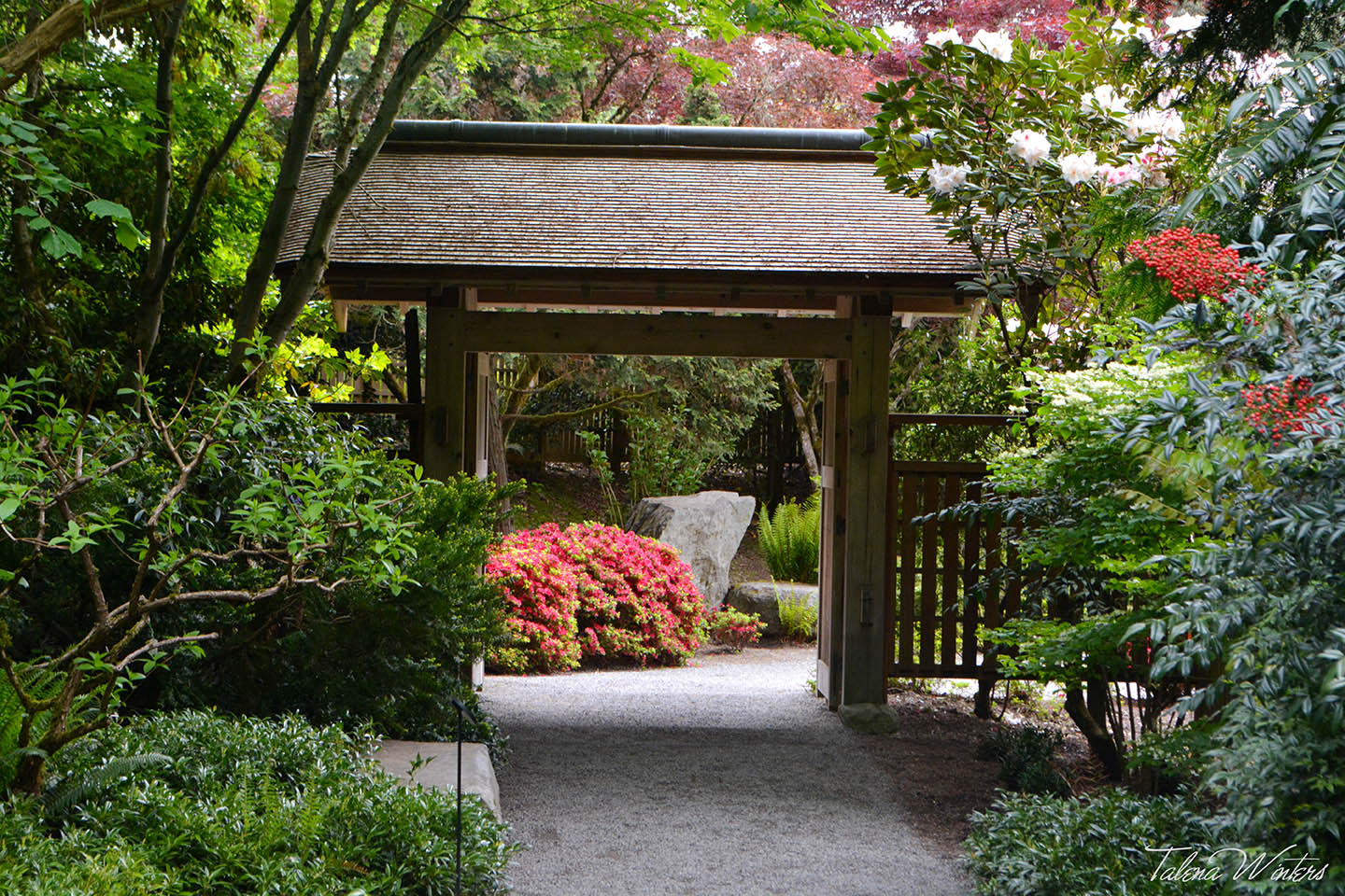 Entrance to the Yao Japanese Garden of the Bellevue Botanical Gardens.