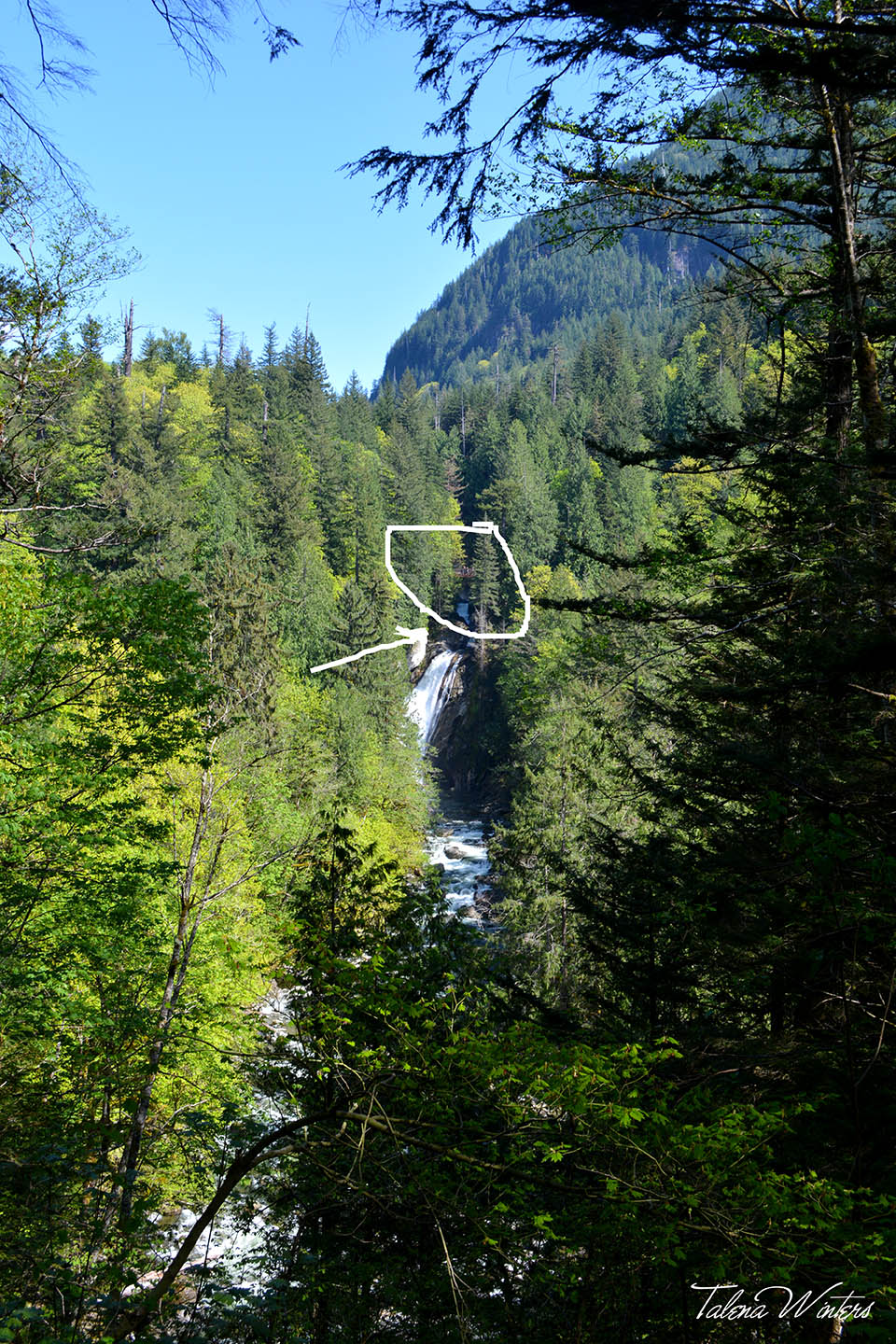 This photo was taken at about the .8 mile mark. The circled part has the teeny-tiny bridge that we hiked to in it. If you really blow it up, you could probably see people on it. Only, we had to go down and back up a long ways to get there. It was awesome. This was also great "research" for my book, because my main characters live at the top of a steep mountain about this far from the bay. Now I know how they stay so thin. :-)