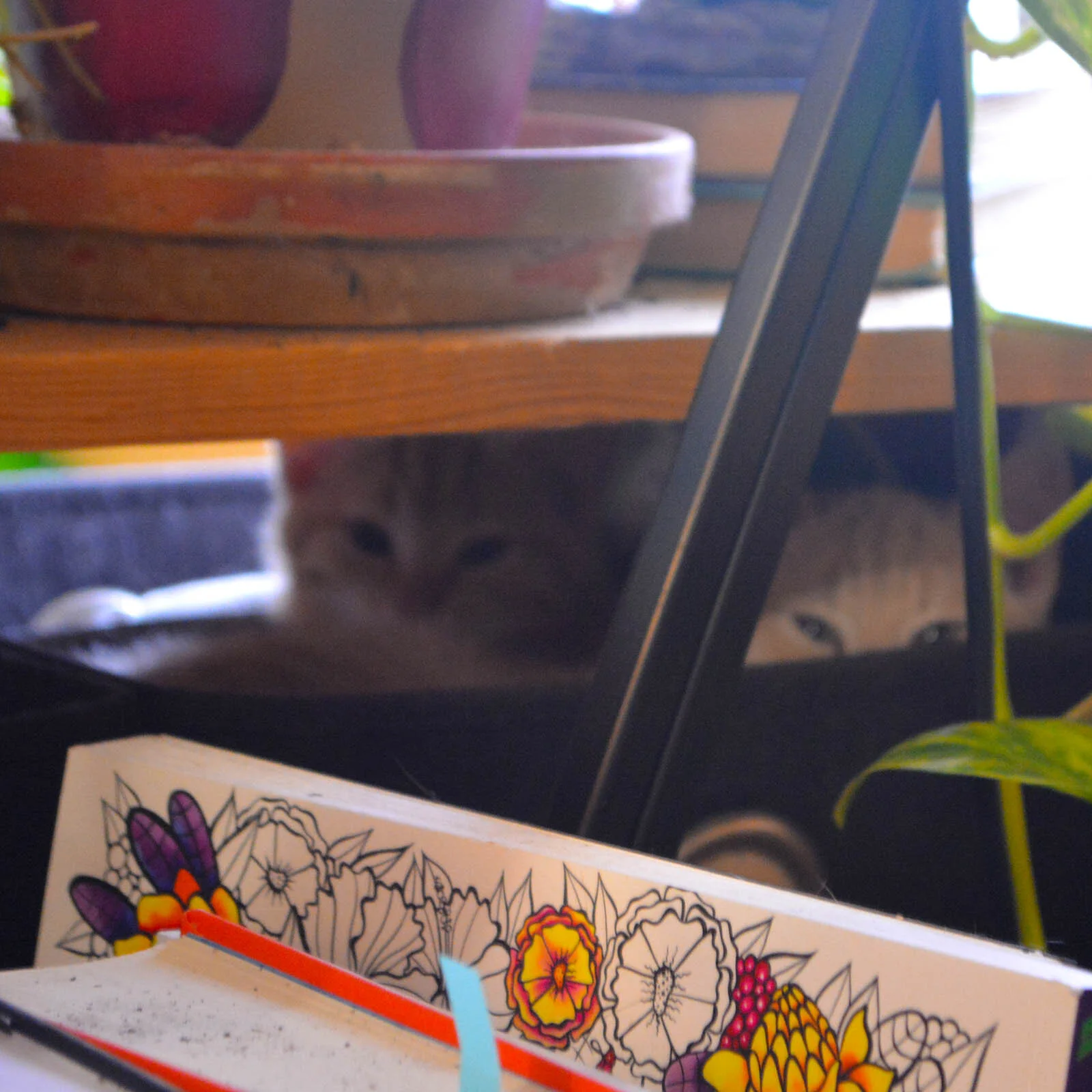 Do you ever get the feeling you’re being watched?