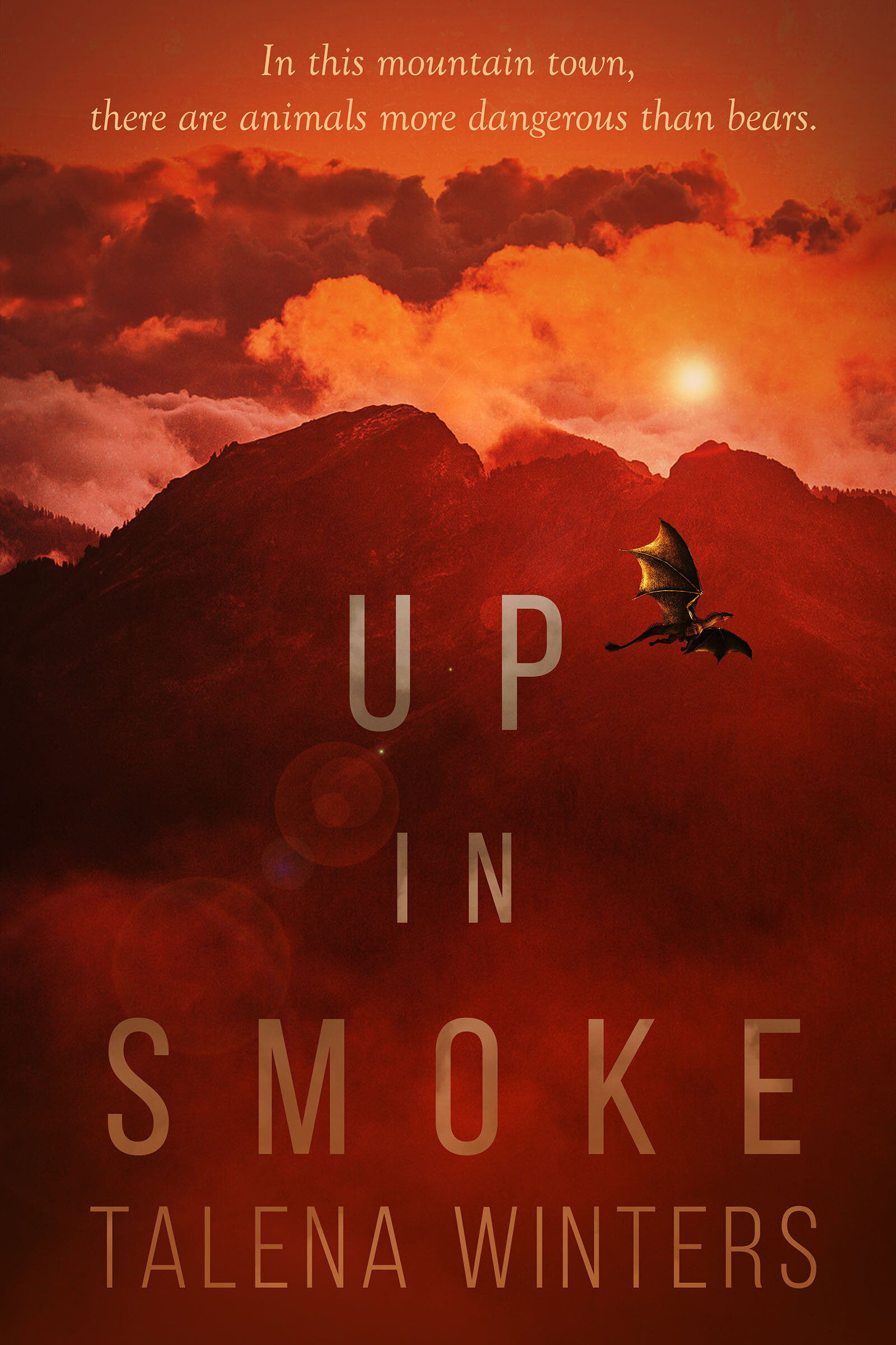 Up in Smoke book cover (Copy) (Copy)