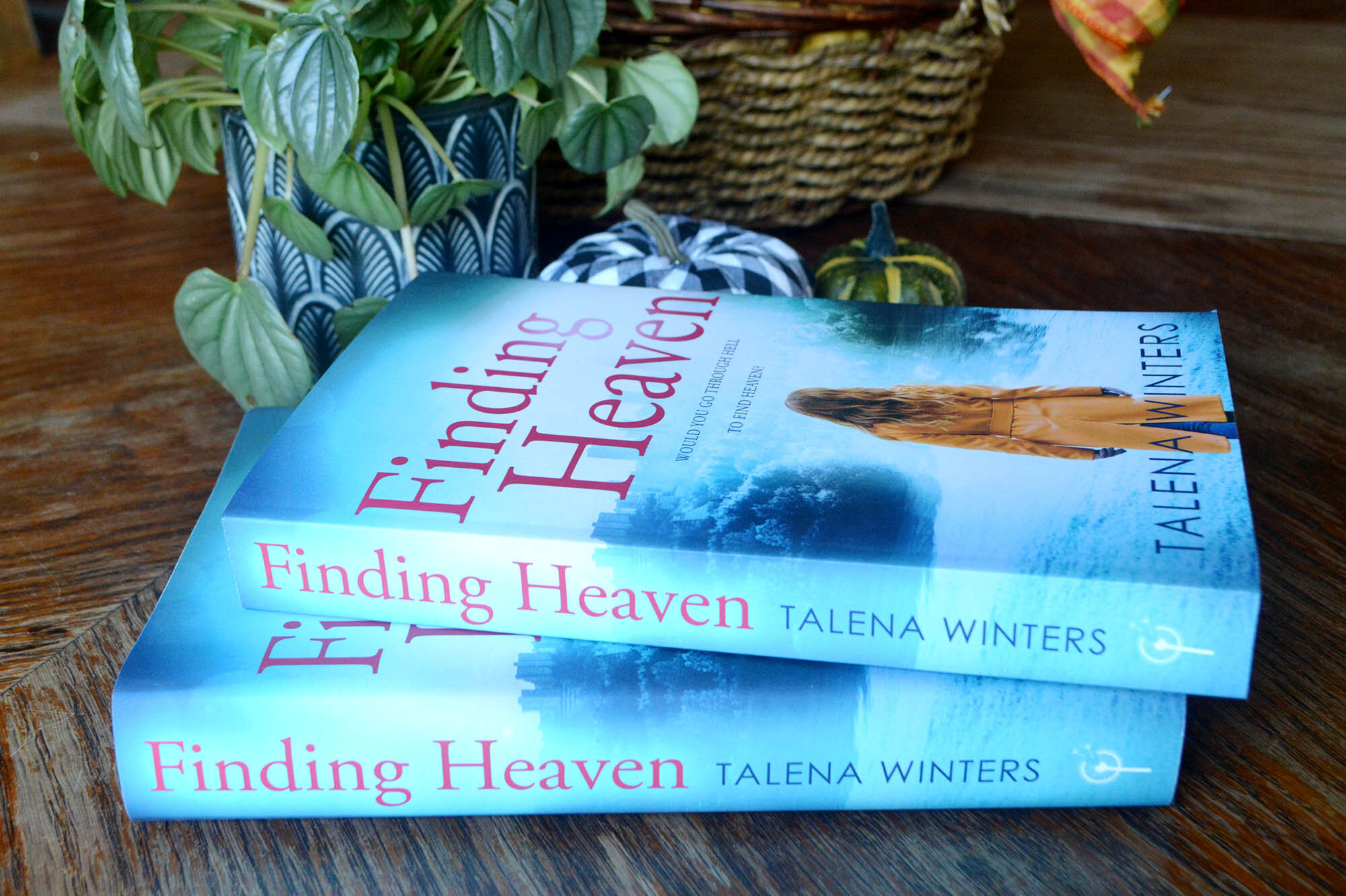  Angled view of book stack of  Finding Heaven  by Talena Winters. 