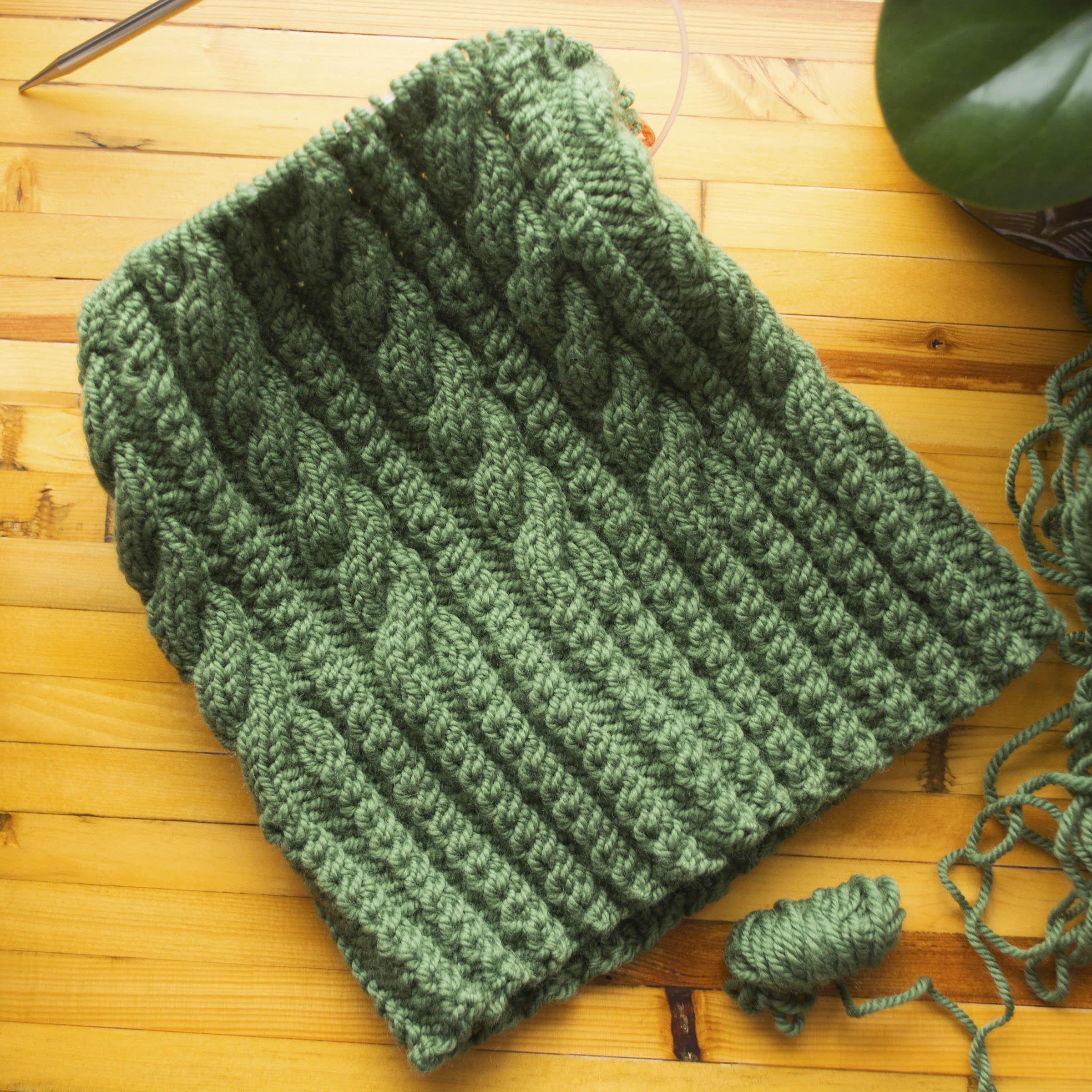  Partially finished cable knit dark green beanie with one-by-one ribbing on the brim and alternating one-by-one and three-by-three ribbing on the crown, still on the needles, with a bobbin of yarn beside it, sitting next to a plant on a gold-stained 