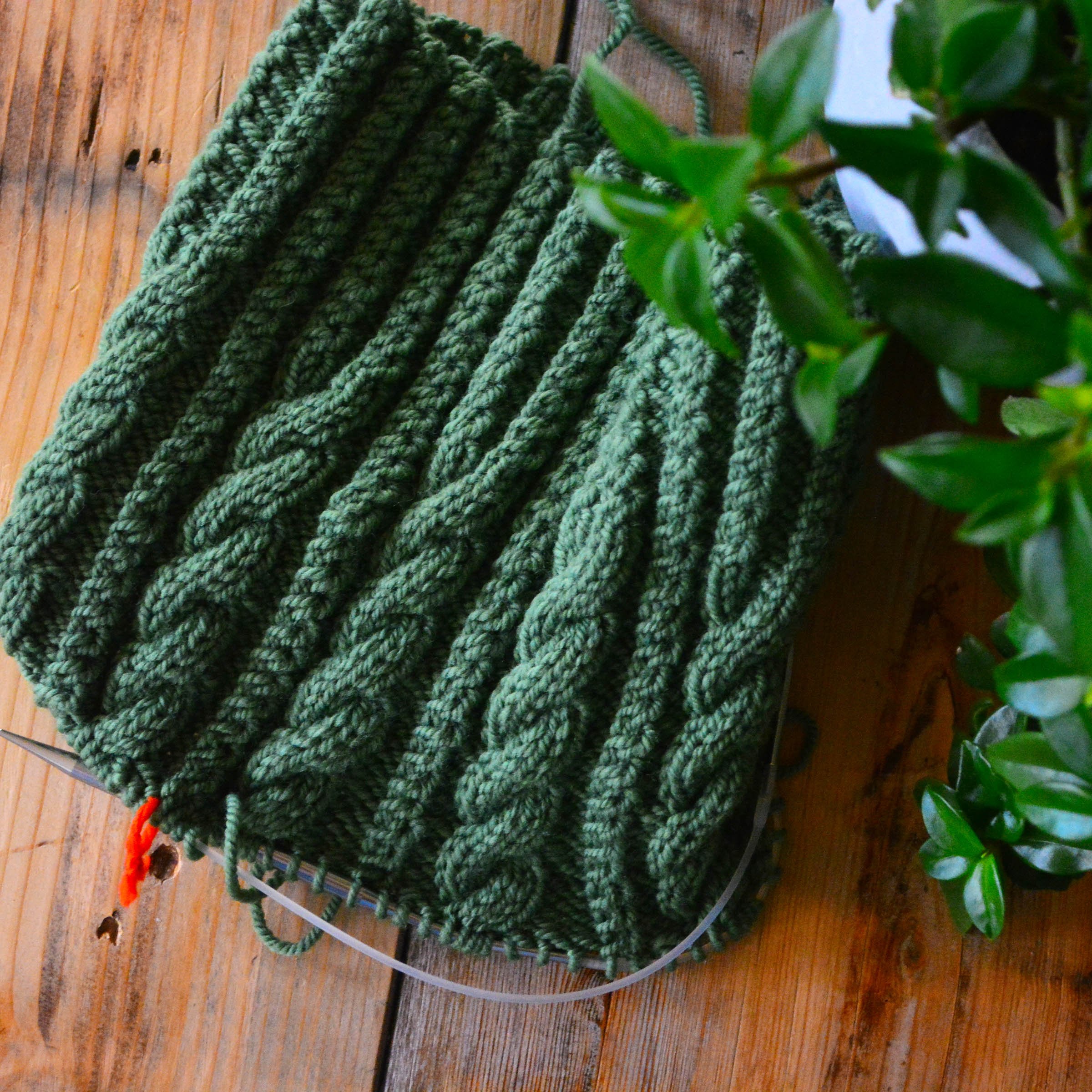  Partially finished dark green cable knit beanie next to a plant on an unfinished wooden surface. 