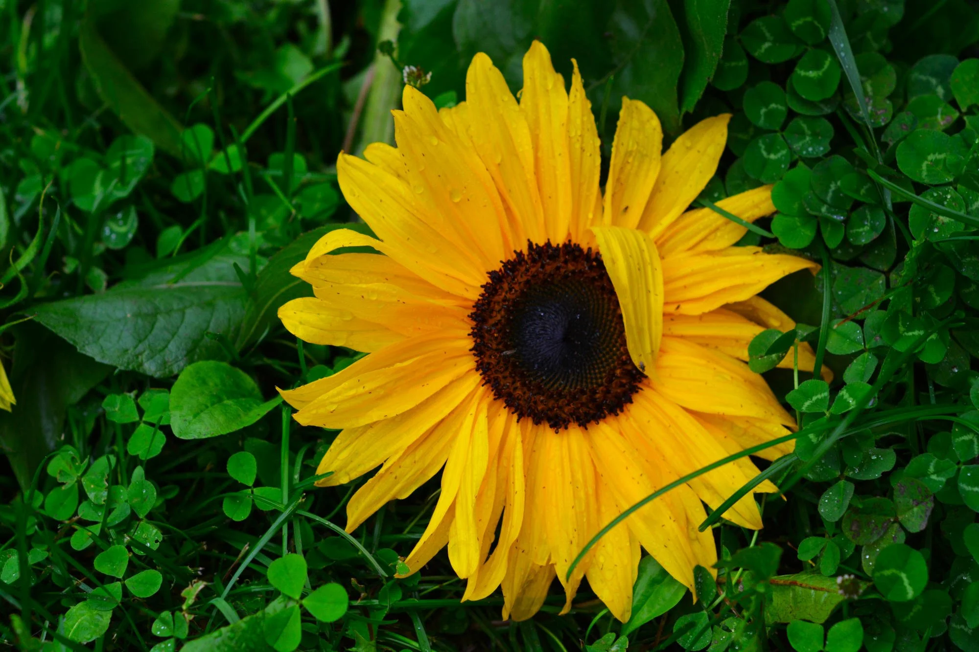 Does What I Do Matter?