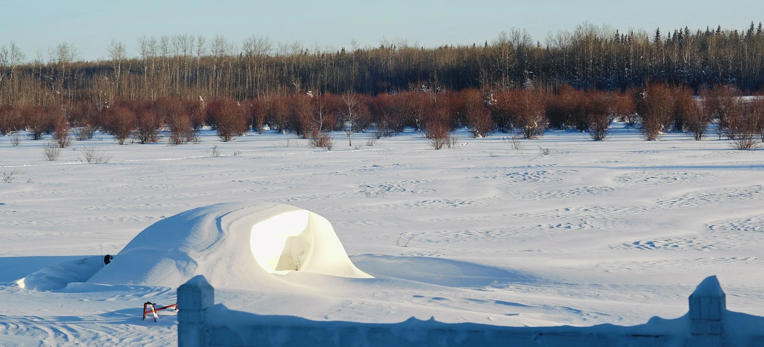 A wind-swept snow-covered field with a large indistinct lump drifted over.