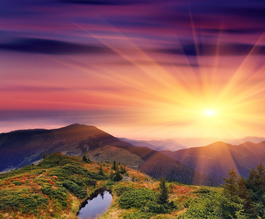 THEBackground-4.jpg