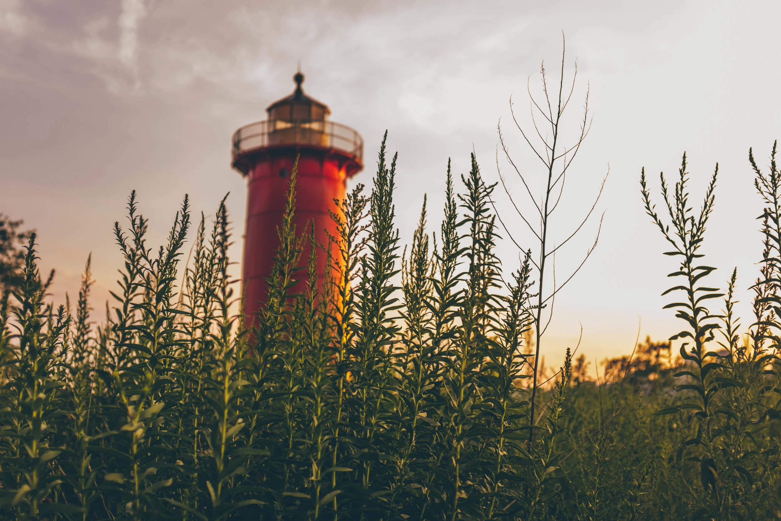 The Little Red Lighthouse