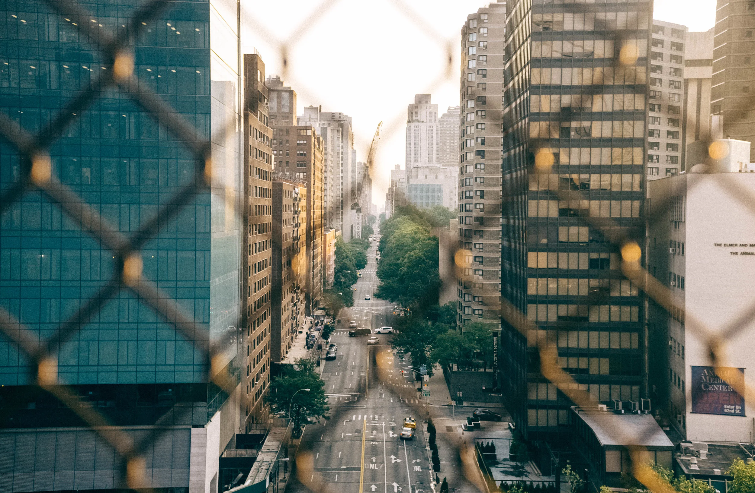 A View from the 59th Street Bridge