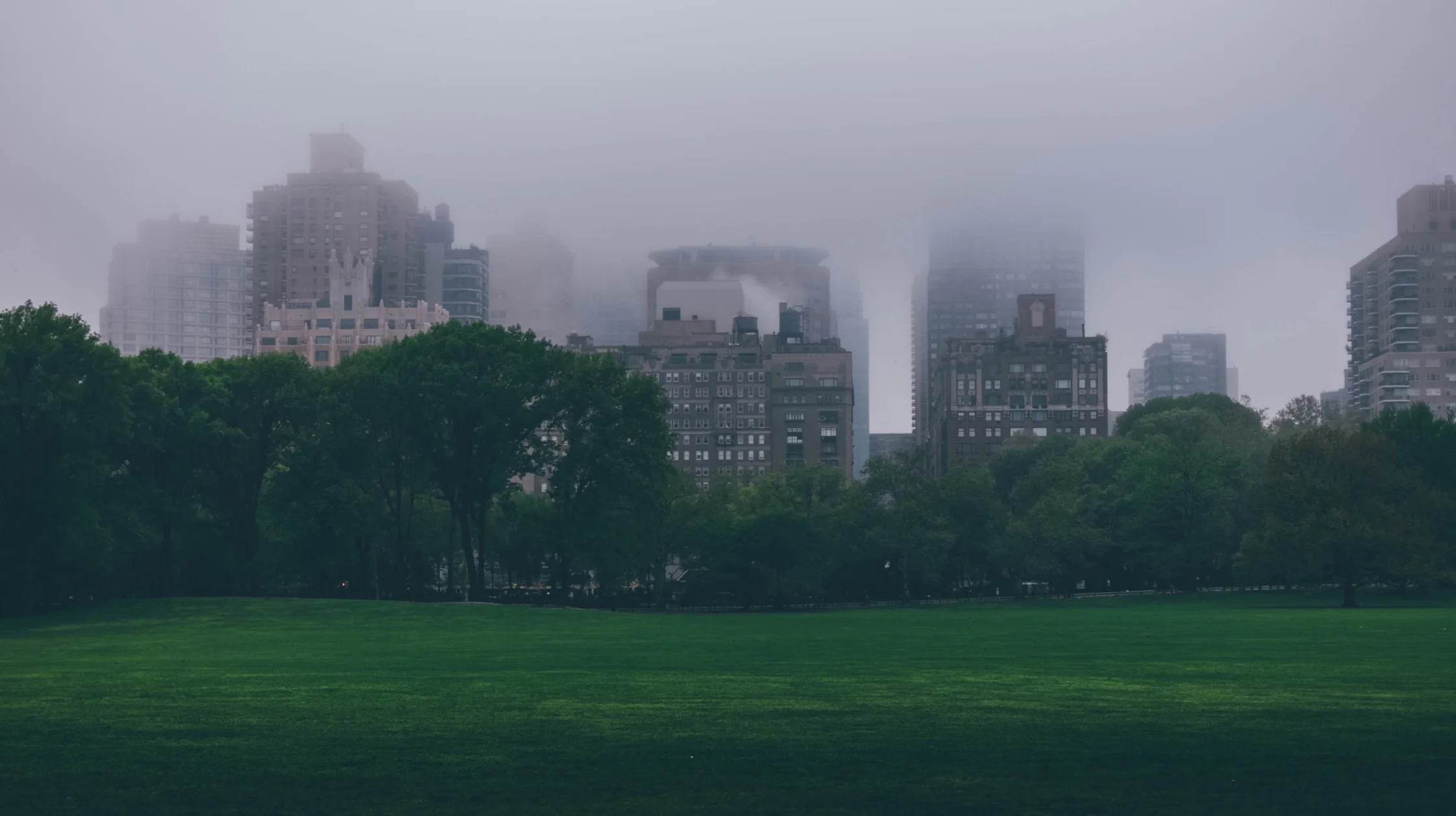 The Great Lawn, Central Park