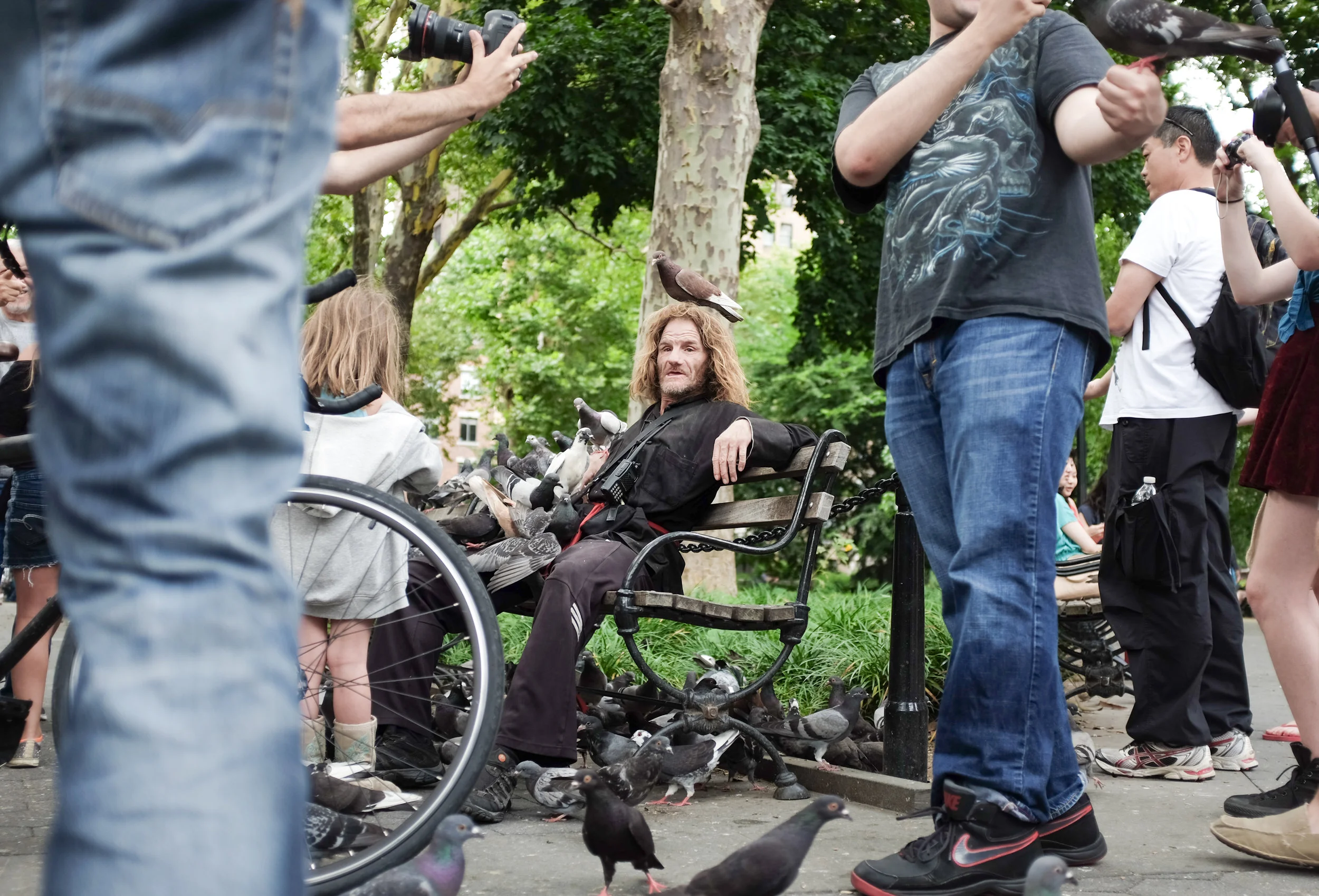 Pigeon Man