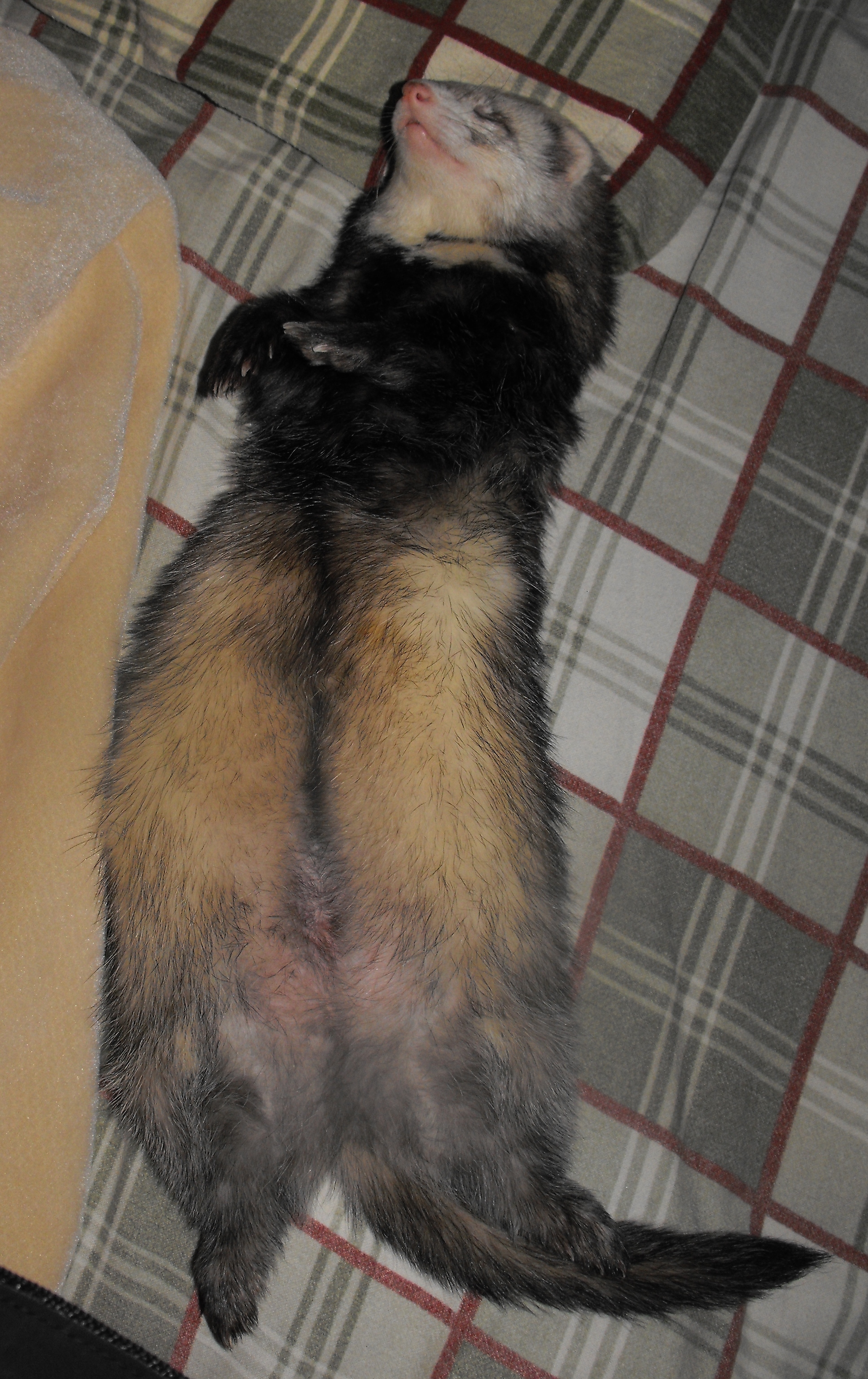 Beside my son in his bed