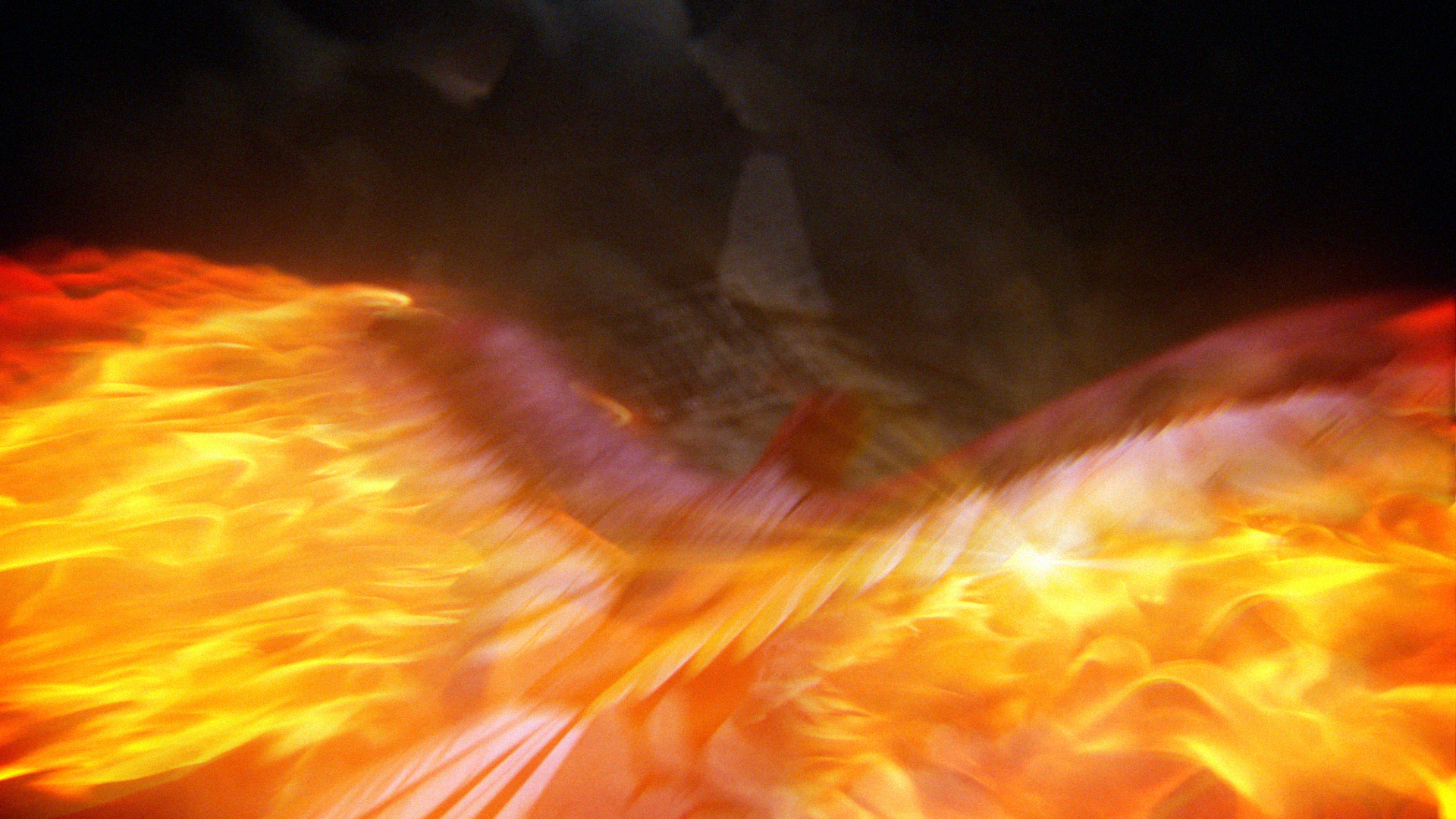 Bird fly Down 01 styleframes_v001.jpg