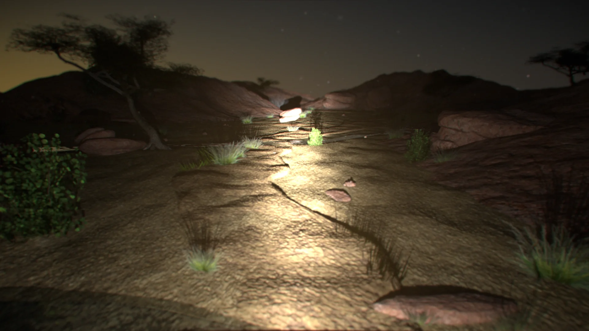 Desert D2 Drive