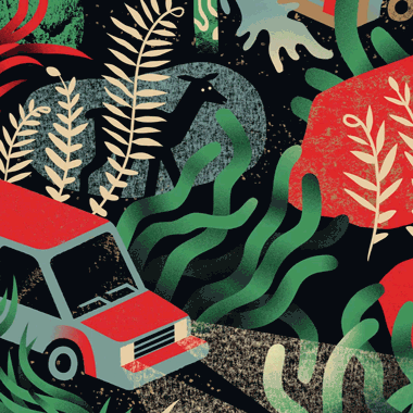 Antra-Svarcs-National-Park-Pattern-horizontal-02.gif