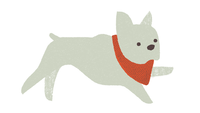 Assembly-Antra-Svarcs-french-bulldog-transparent-02.gif