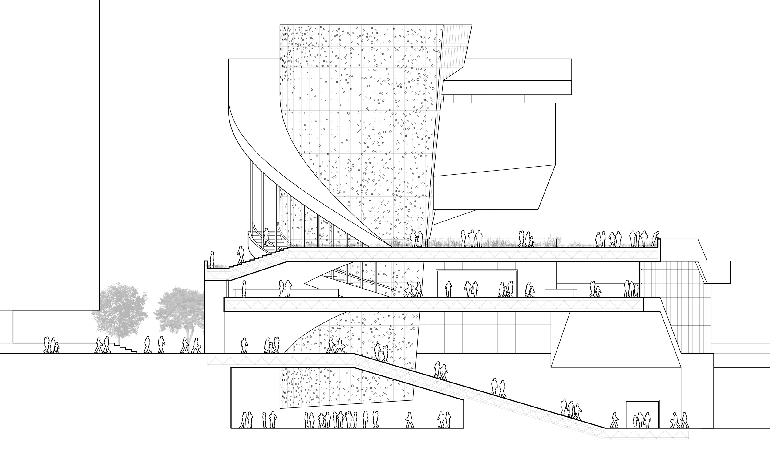 final sections final 2 crop.jpg