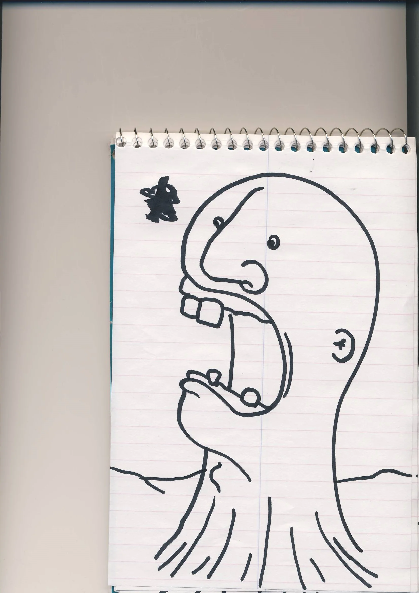 education face0003.JPG