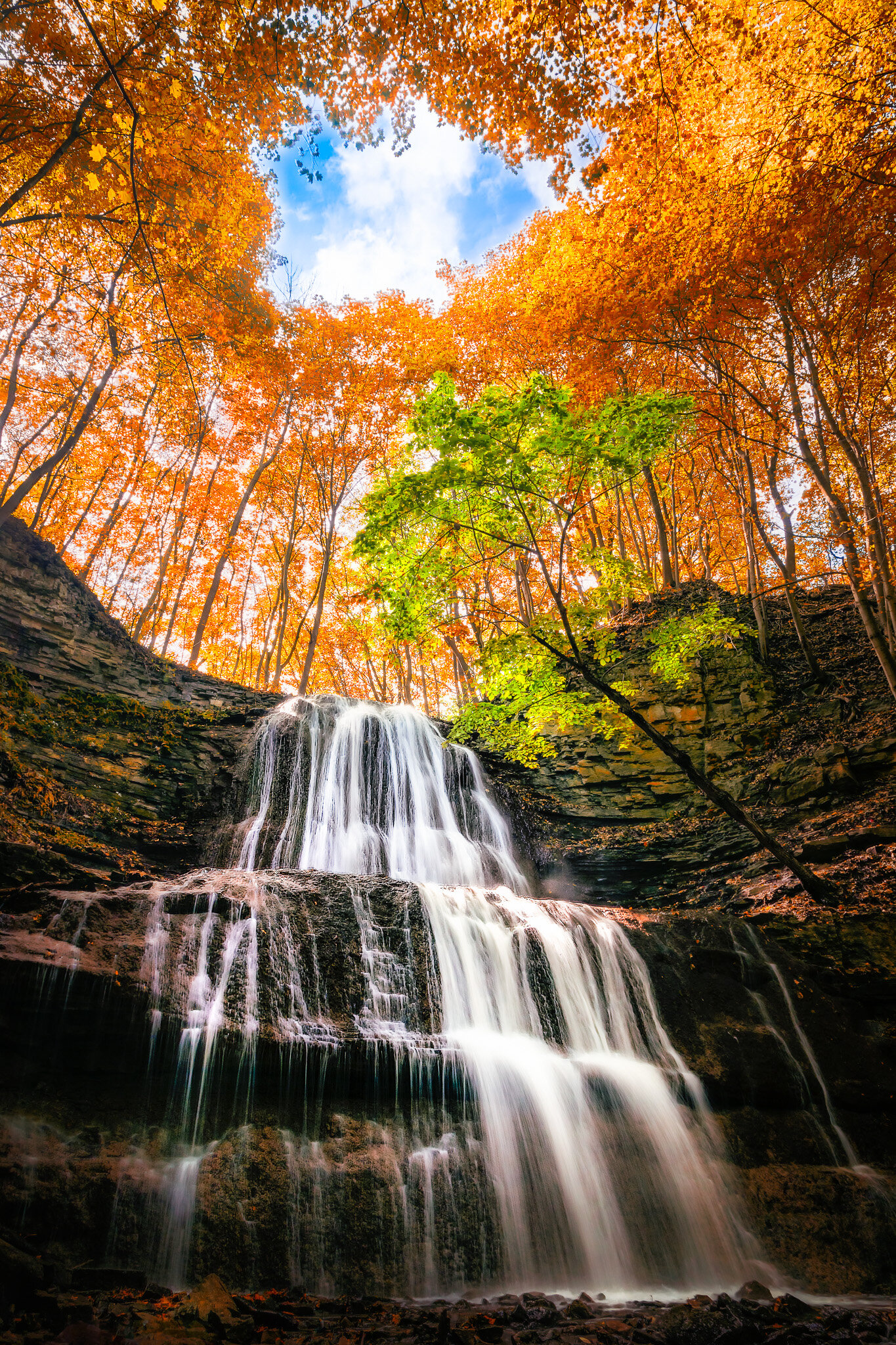 Fall Spotlight