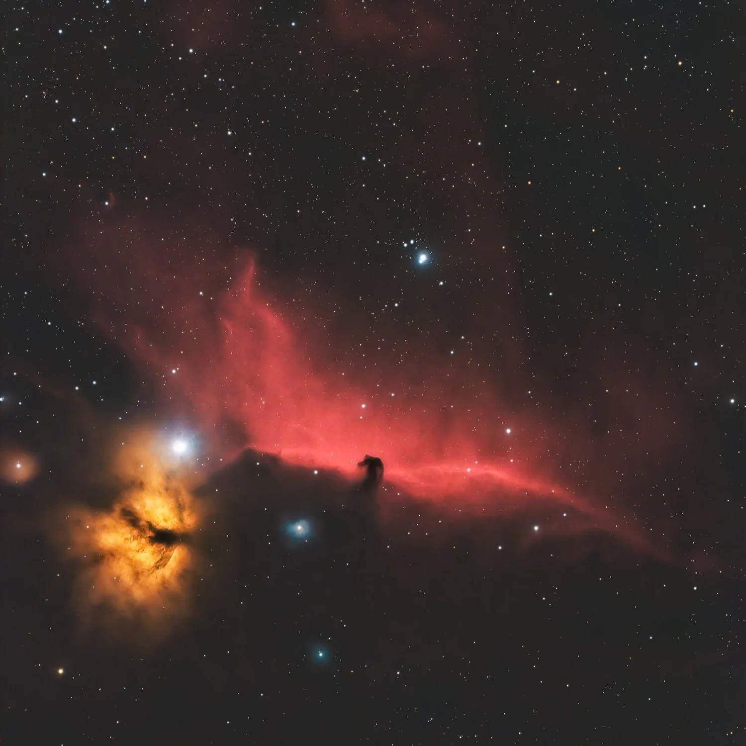 Astrophotography: The Flame and Horsehead Nebulae — Achint Thomas ...