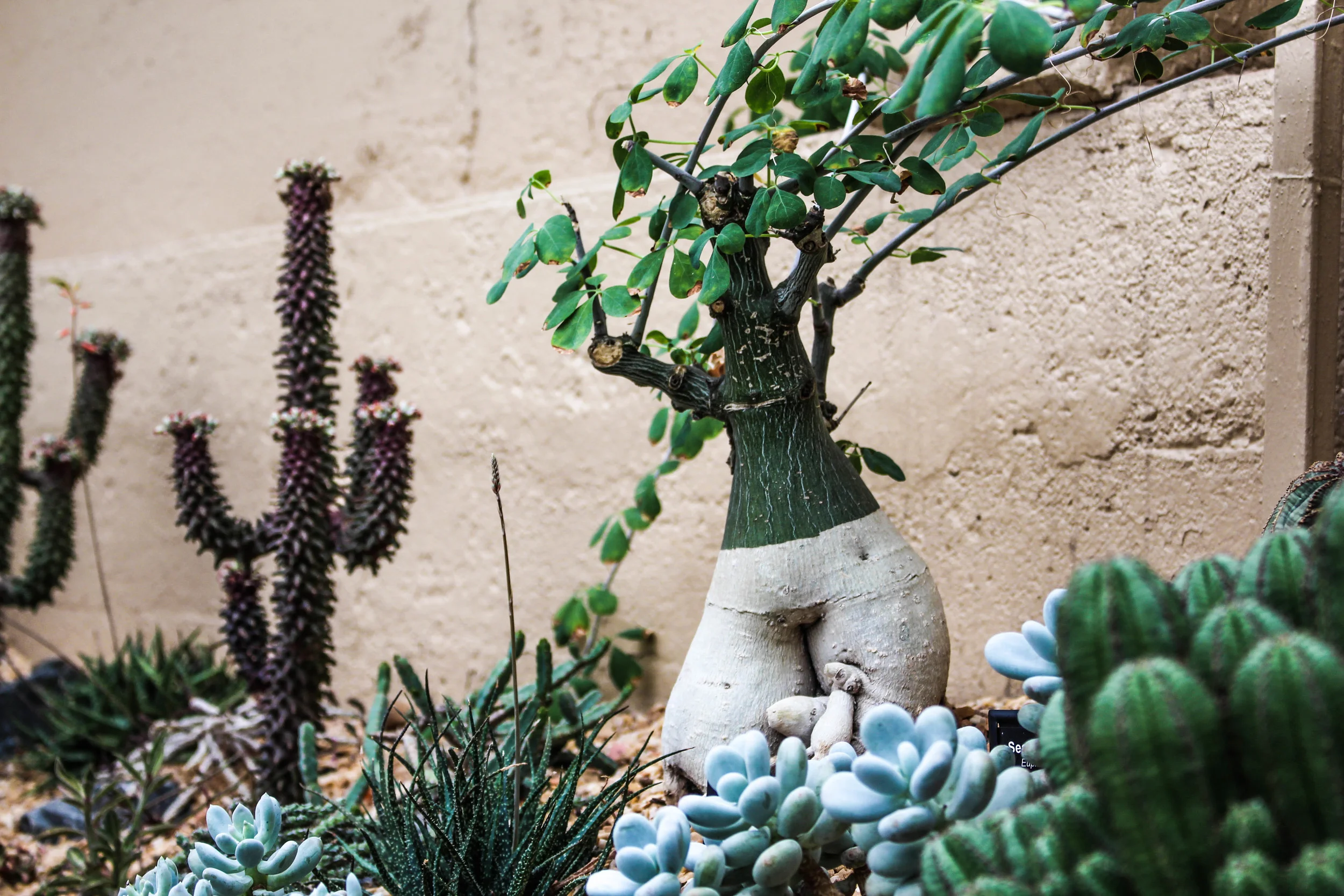 chicago2015 (226 of 295).jpg