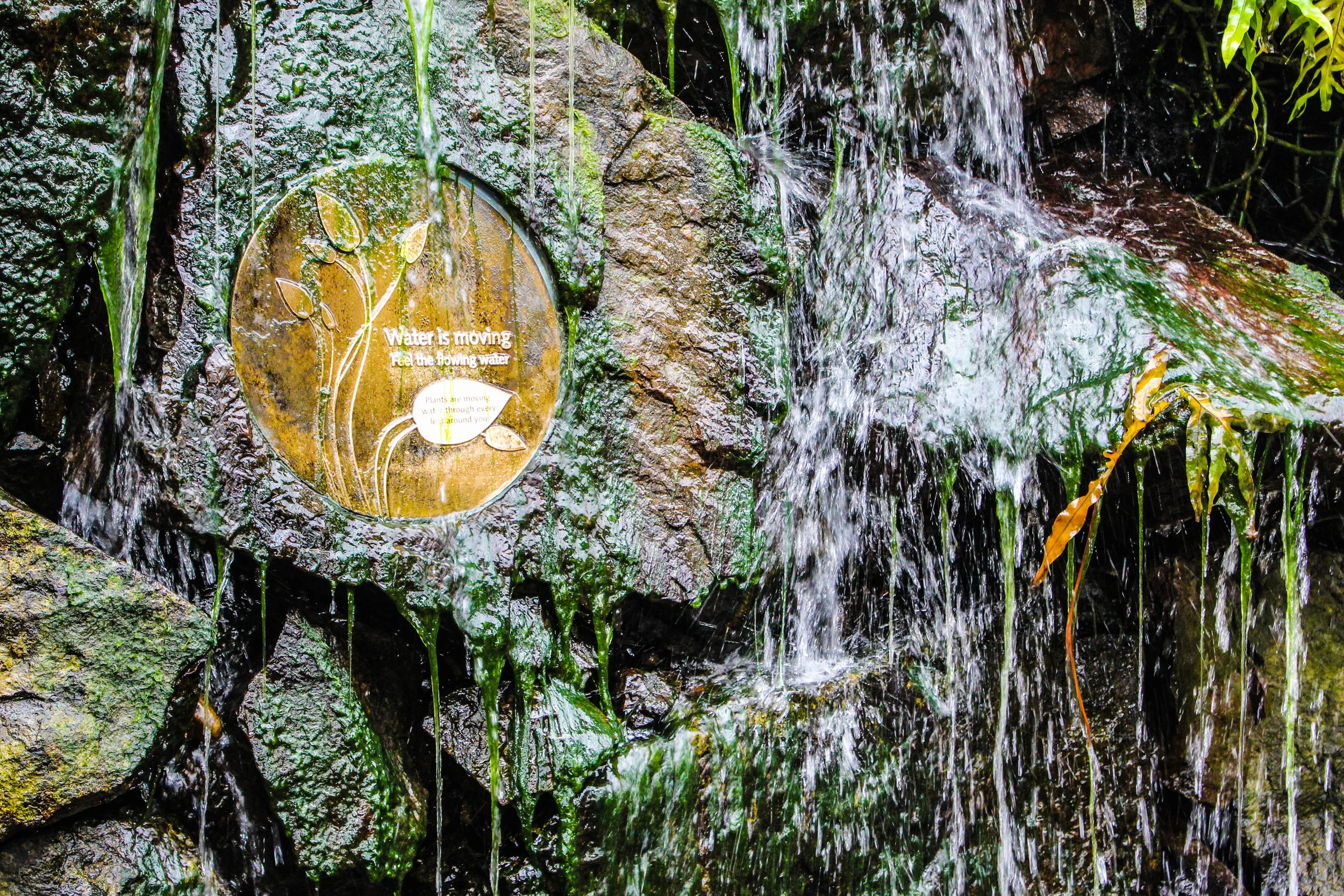 chicago2015 (208 of 295).jpg