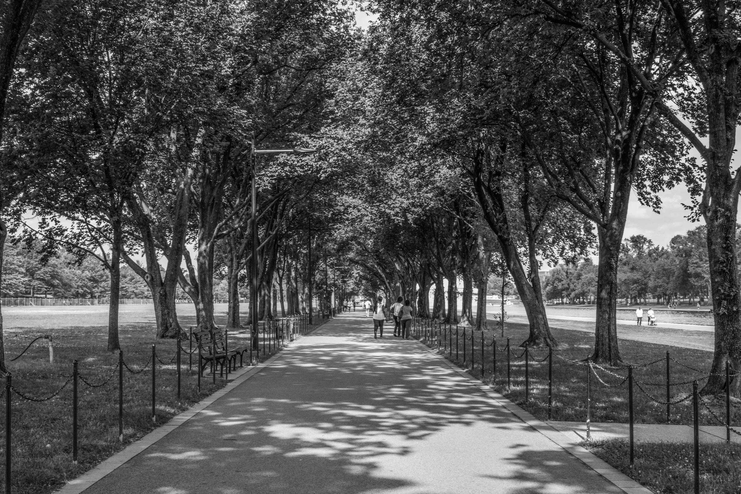 DCbaby_bw (1 of 1).jpg