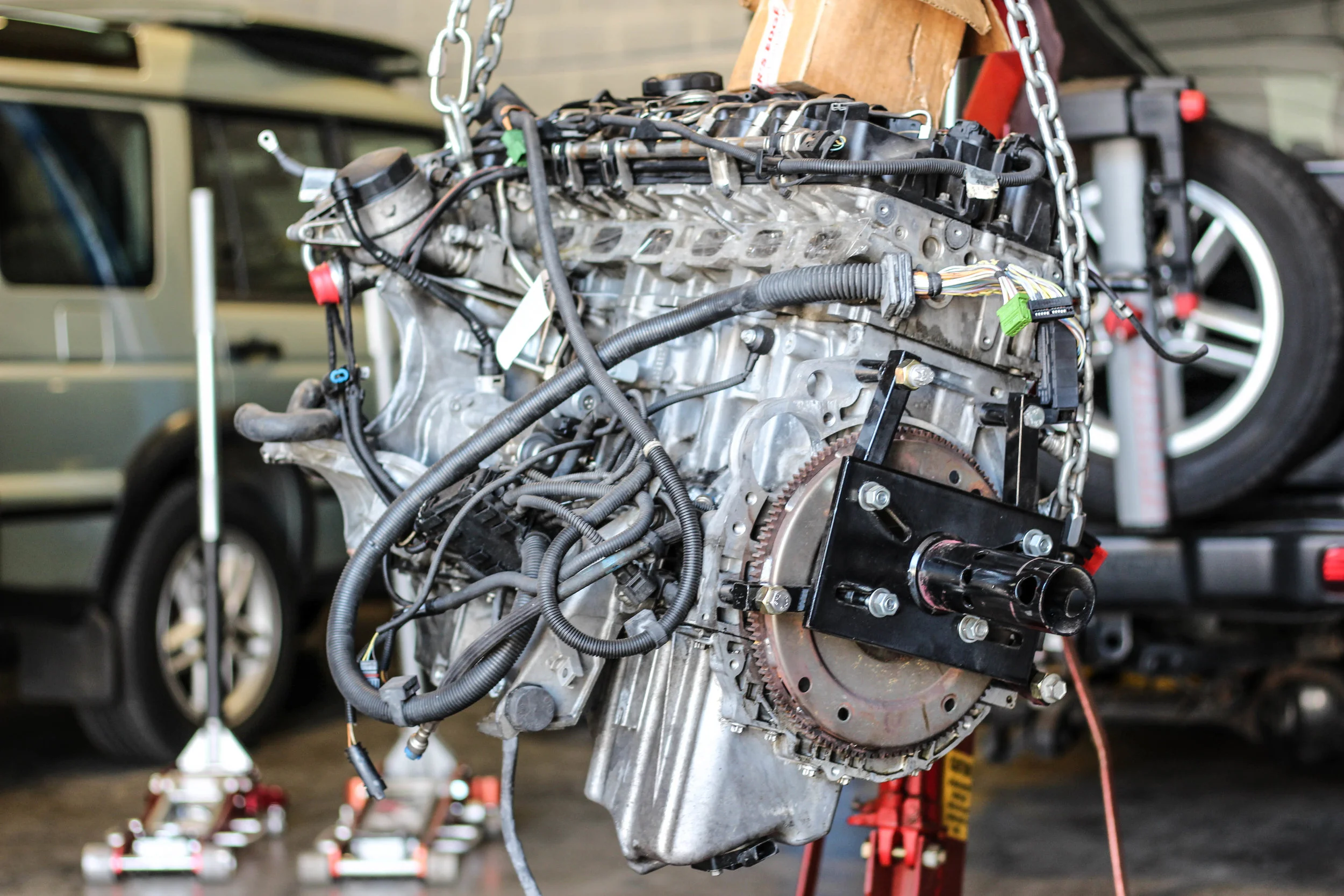n54 (33 of 233).jpg