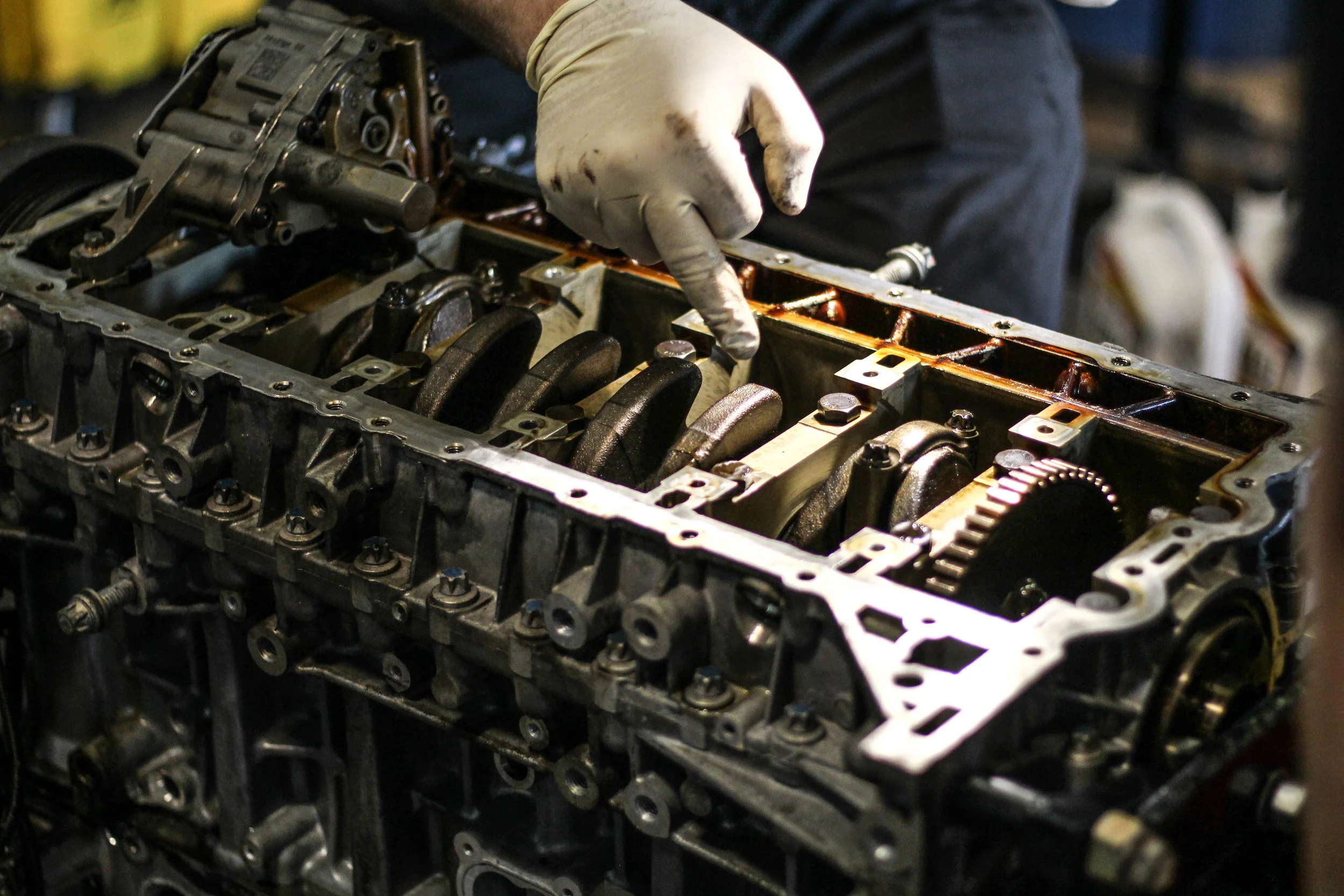 n54 (142 of 233).jpg