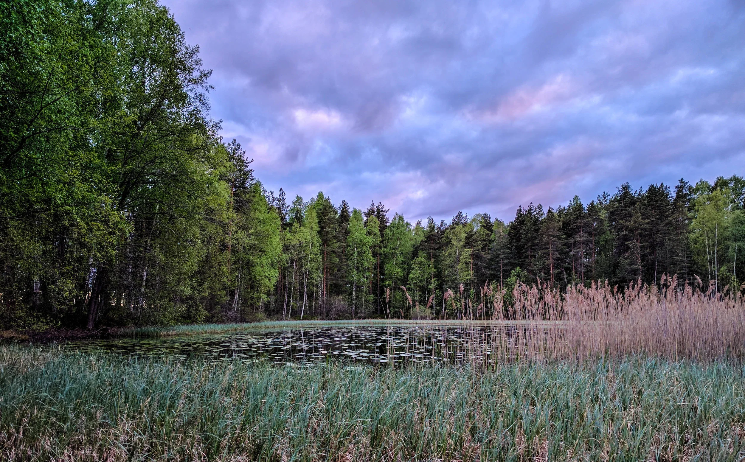 kiljava (5 of 10).jpg