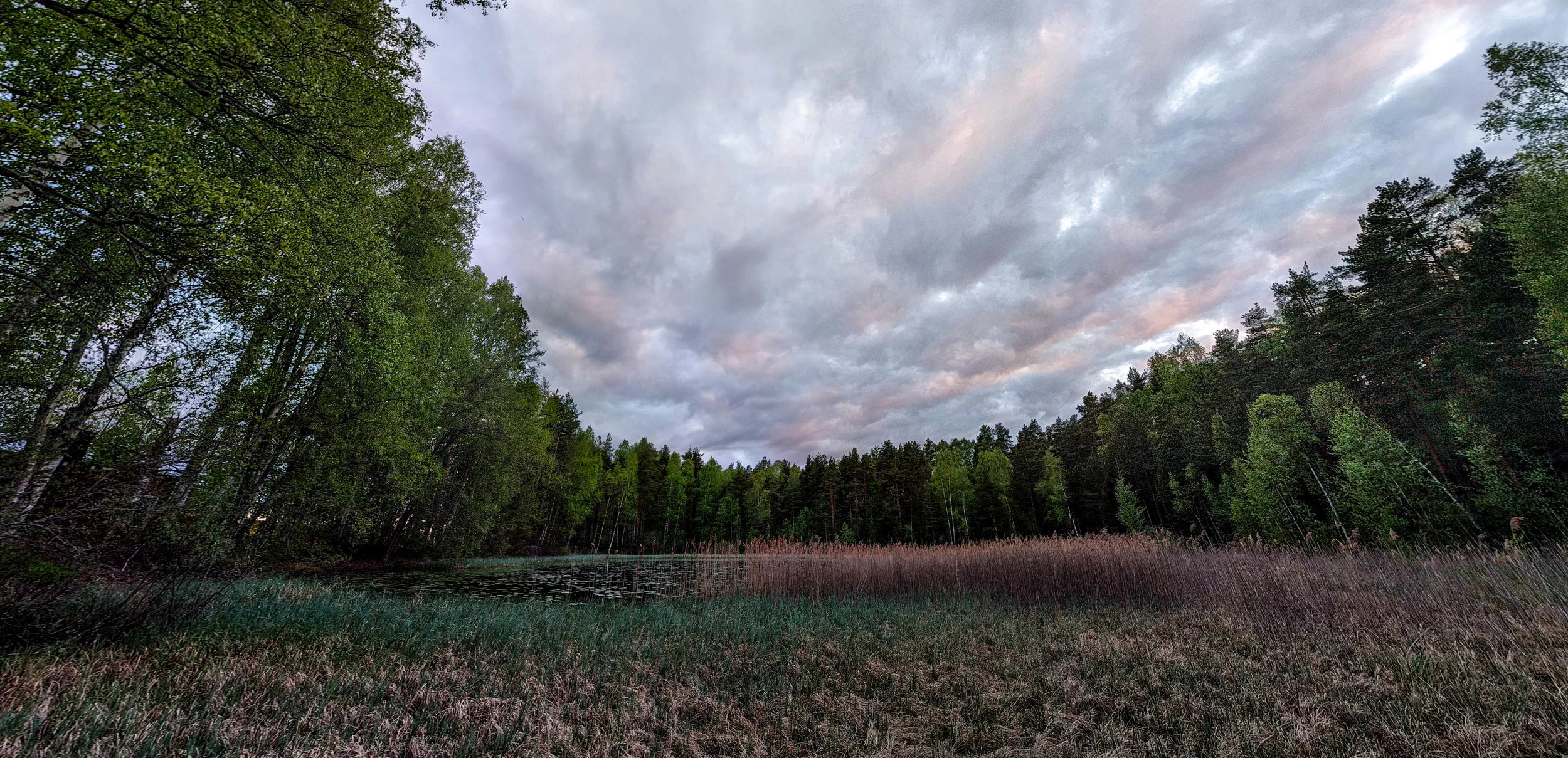 kiljava (7 of 10).jpg